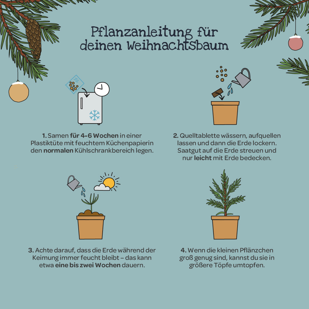 Weihnachtsbaum 2030 aus dem Becher