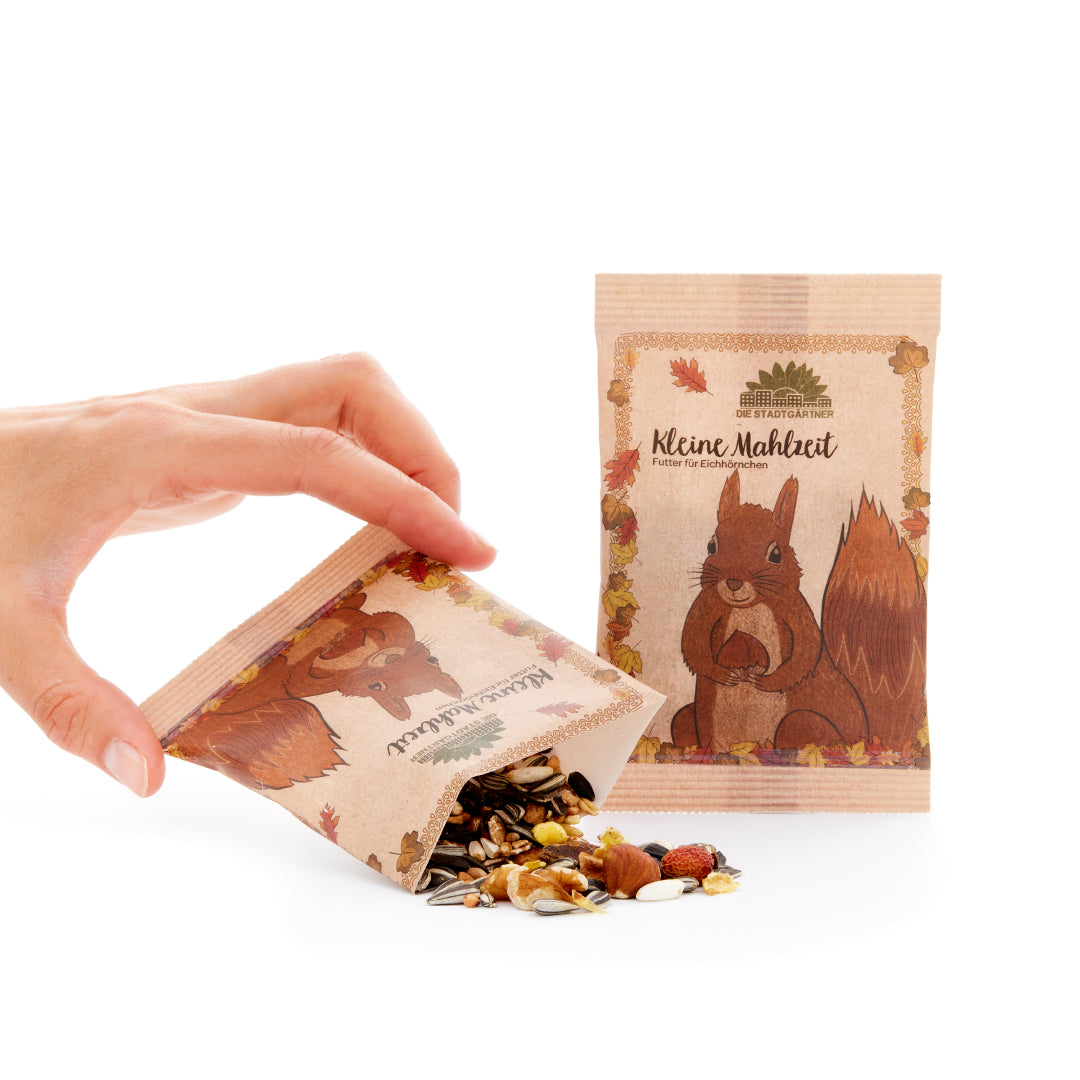 Kleine Mahlzeit – Eichhörnchenfutter