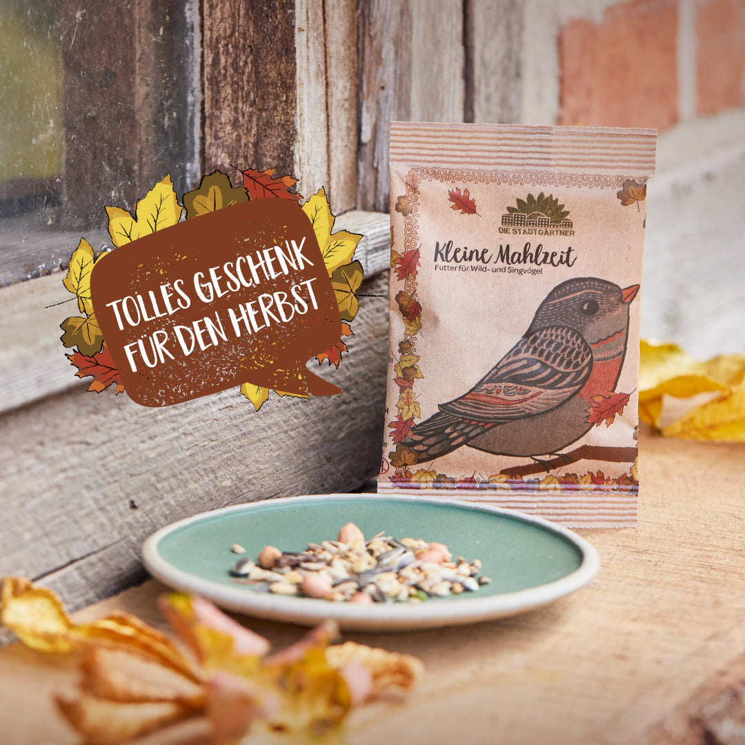Kleine Mahlzeit – Vogelfutter