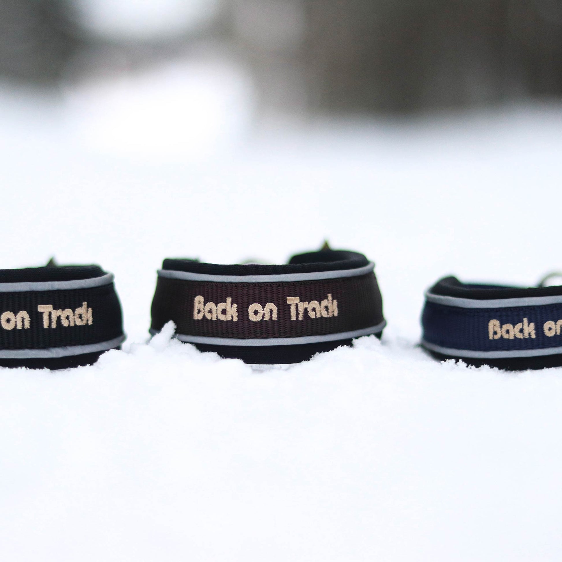 "Charlie" Hundehalsband