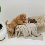 BUDDY. Hundespielzeug aus Leder "Kleiner Bär"