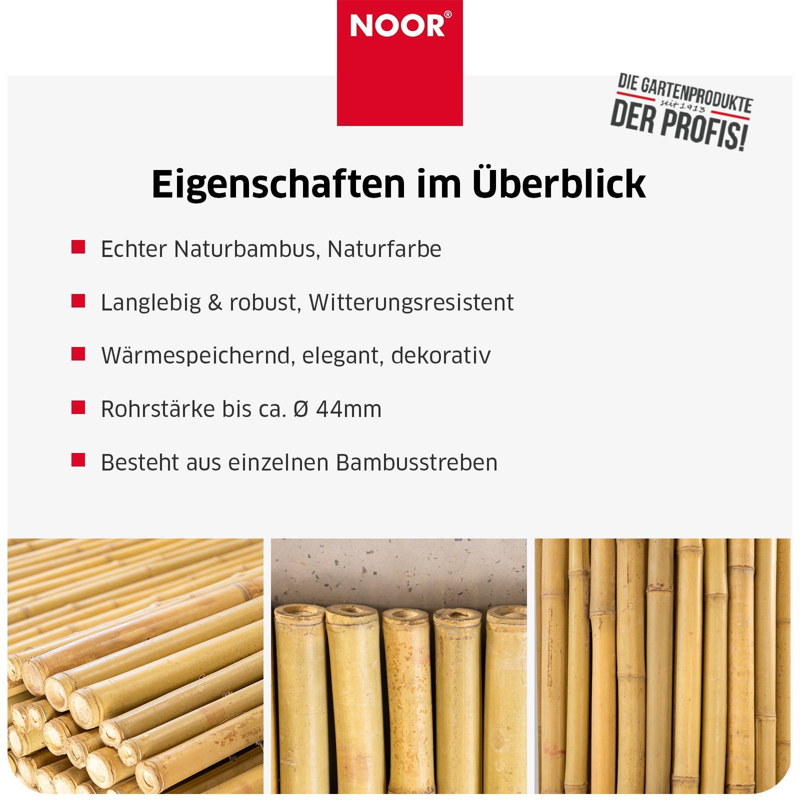 Bambusmatte DELUXE - Besonders stabiler Sichtschutz - Verschiedene Größen