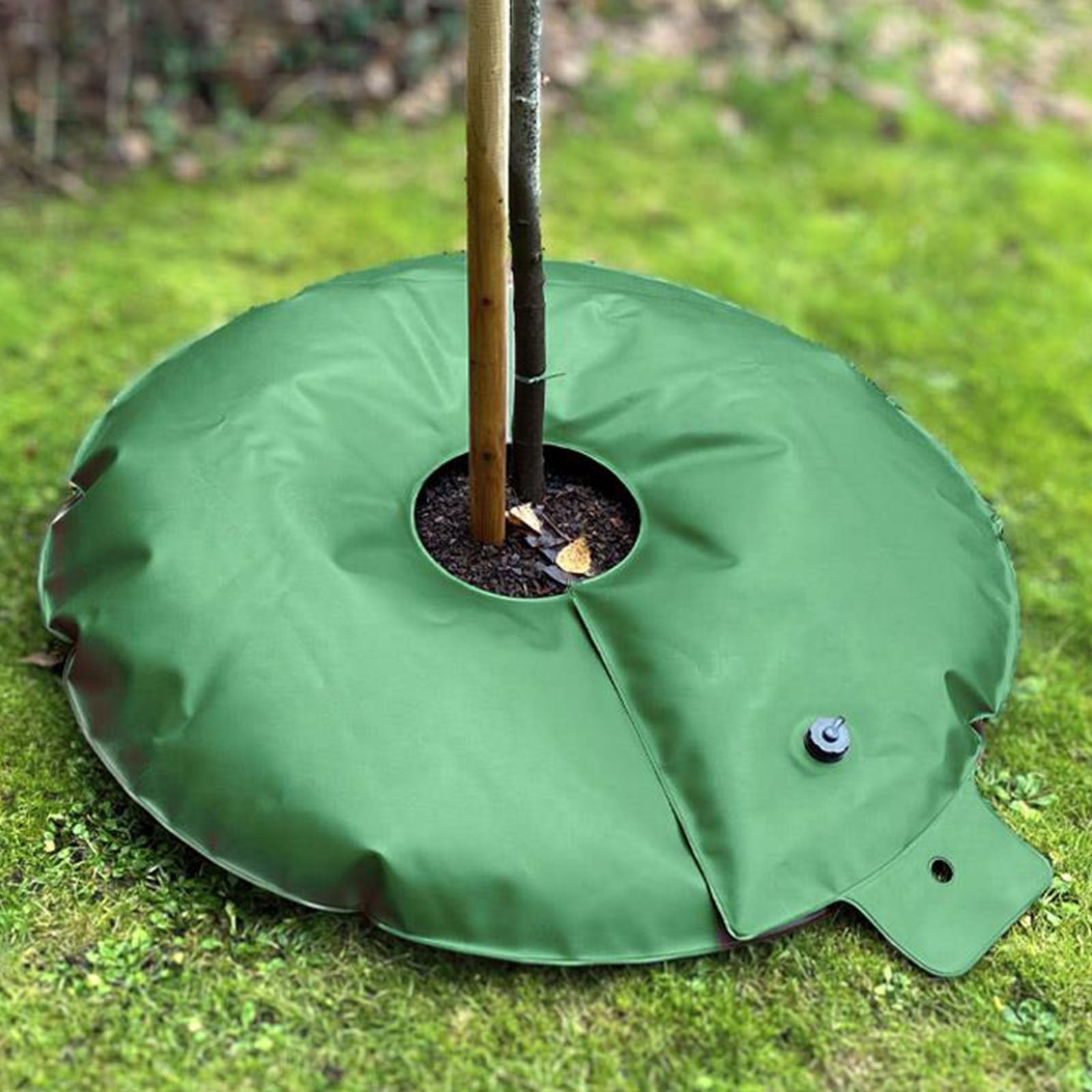 Bewässerungssack FROGBAG DONUT - 100 Liter - 520g/m²