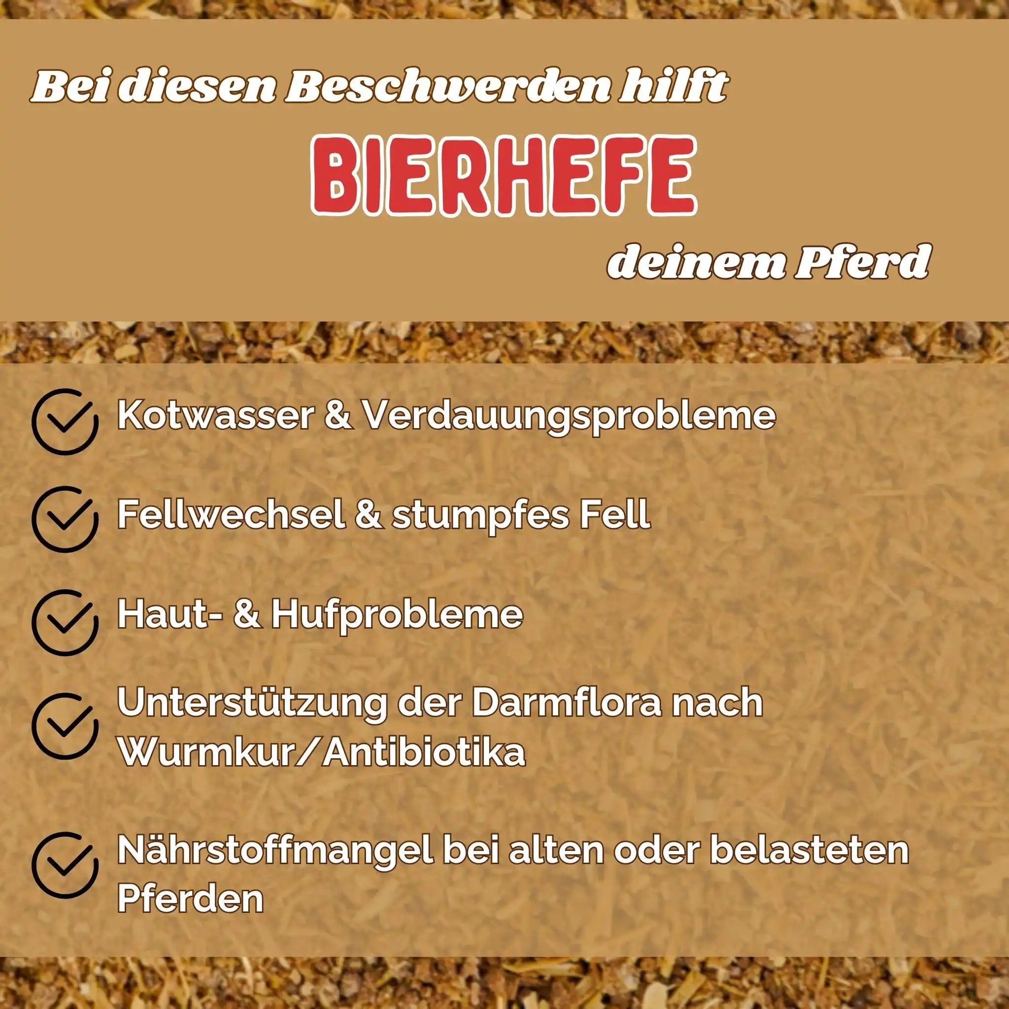 BT Bierhefe Für Pferde Unterstützung Bei Kotwasser Fellwechsel Darmflora Stabilisierung Einzelfuttermittel by s`Queed