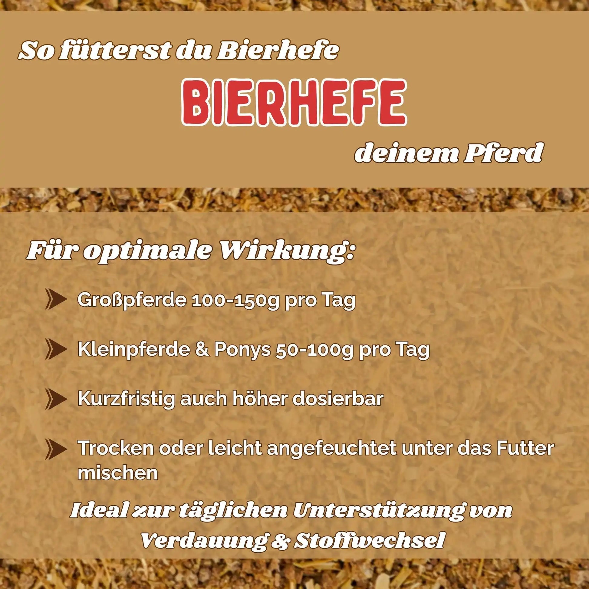 BT Bierhefe Für Pferde Unterstützung Bei Kotwasser Fellwechsel Darmflora Stabilisierung Einzelfuttermittel by s`Queed