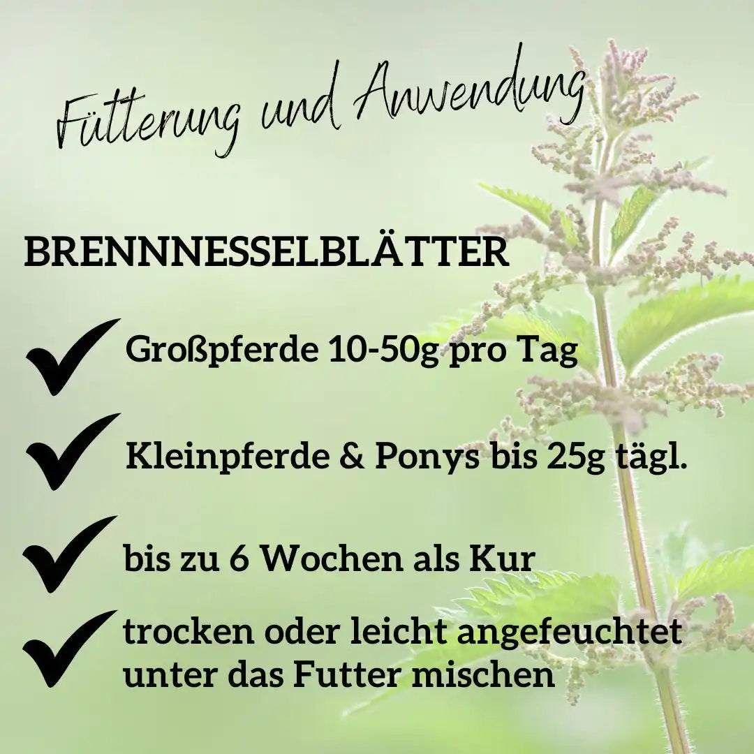 Brennnessel Für Pferde Natürliche Unterstützung Für Nieren Stoffwechsel Haut Gelenke Einzelfuttermittel by s`Queed