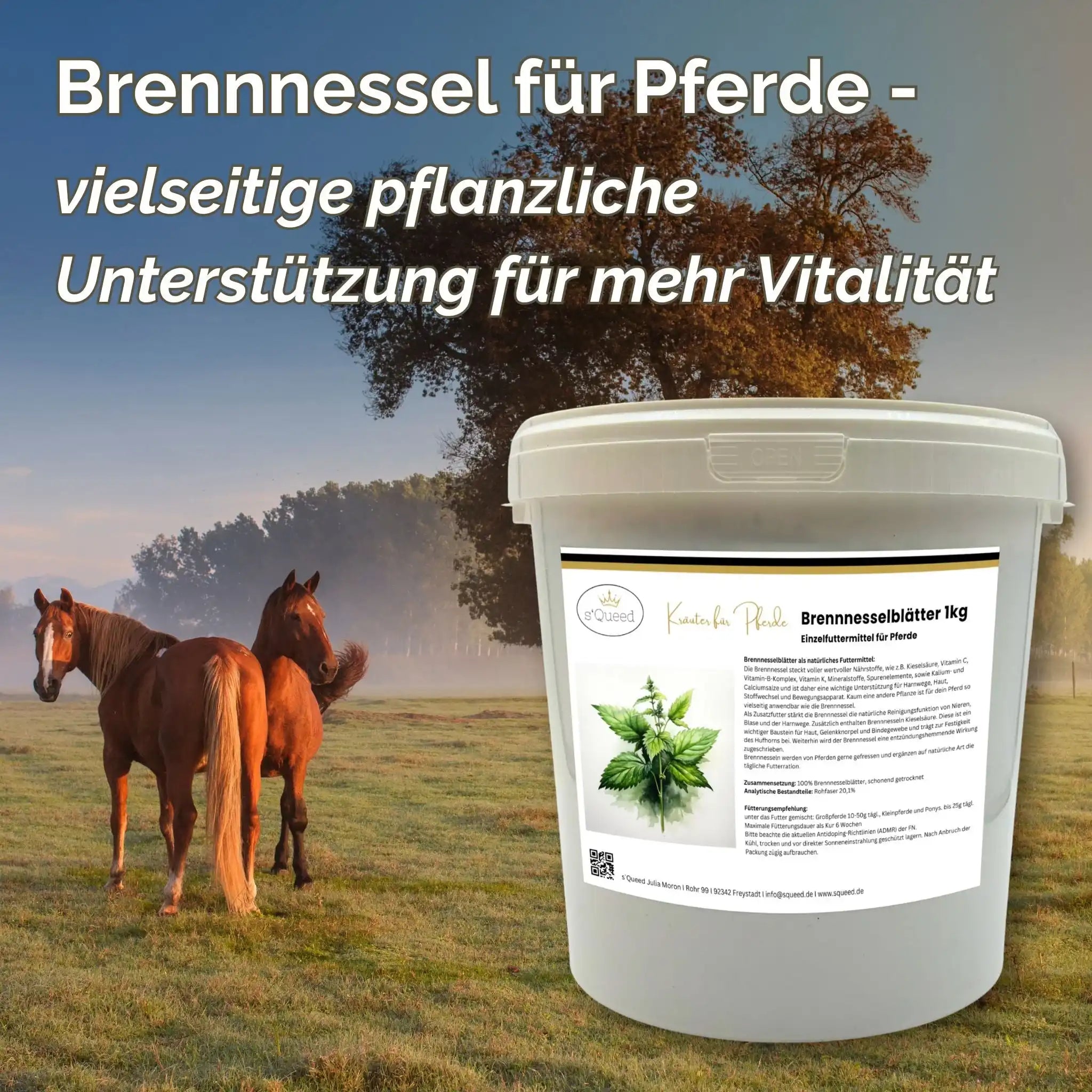 Brennnessel Für Pferde Natürliche Unterstützung Für Nieren Stoffwechsel Haut Gelenke Einzelfuttermittel by s`Queed