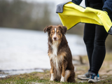 SABRO Handtuch BUDDY für Hunde