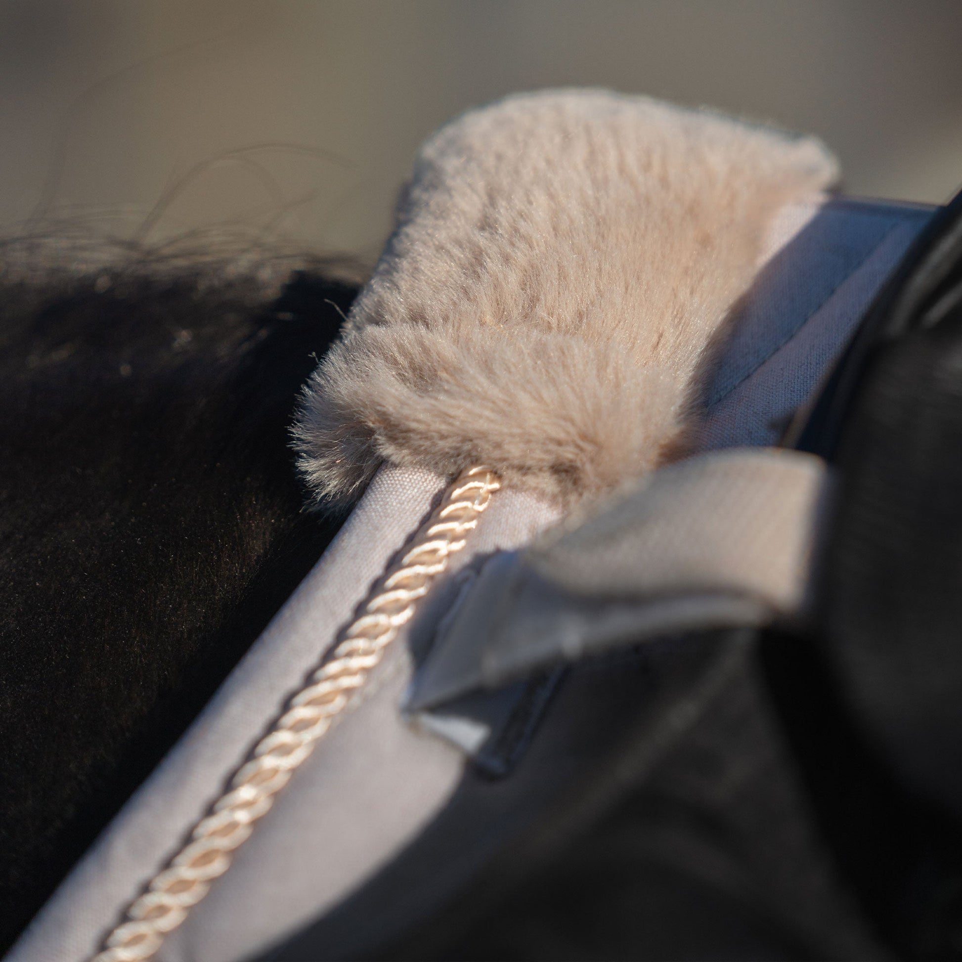 "Haze Collection" Schabracke Springen - Light Beige