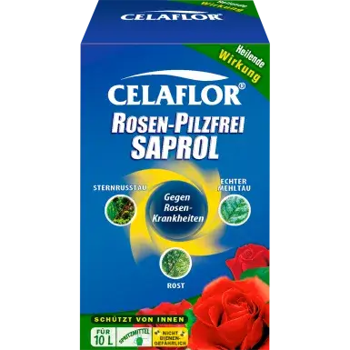 Celaflor® Rosen-Pilzfrei Saprol Konzentrat
