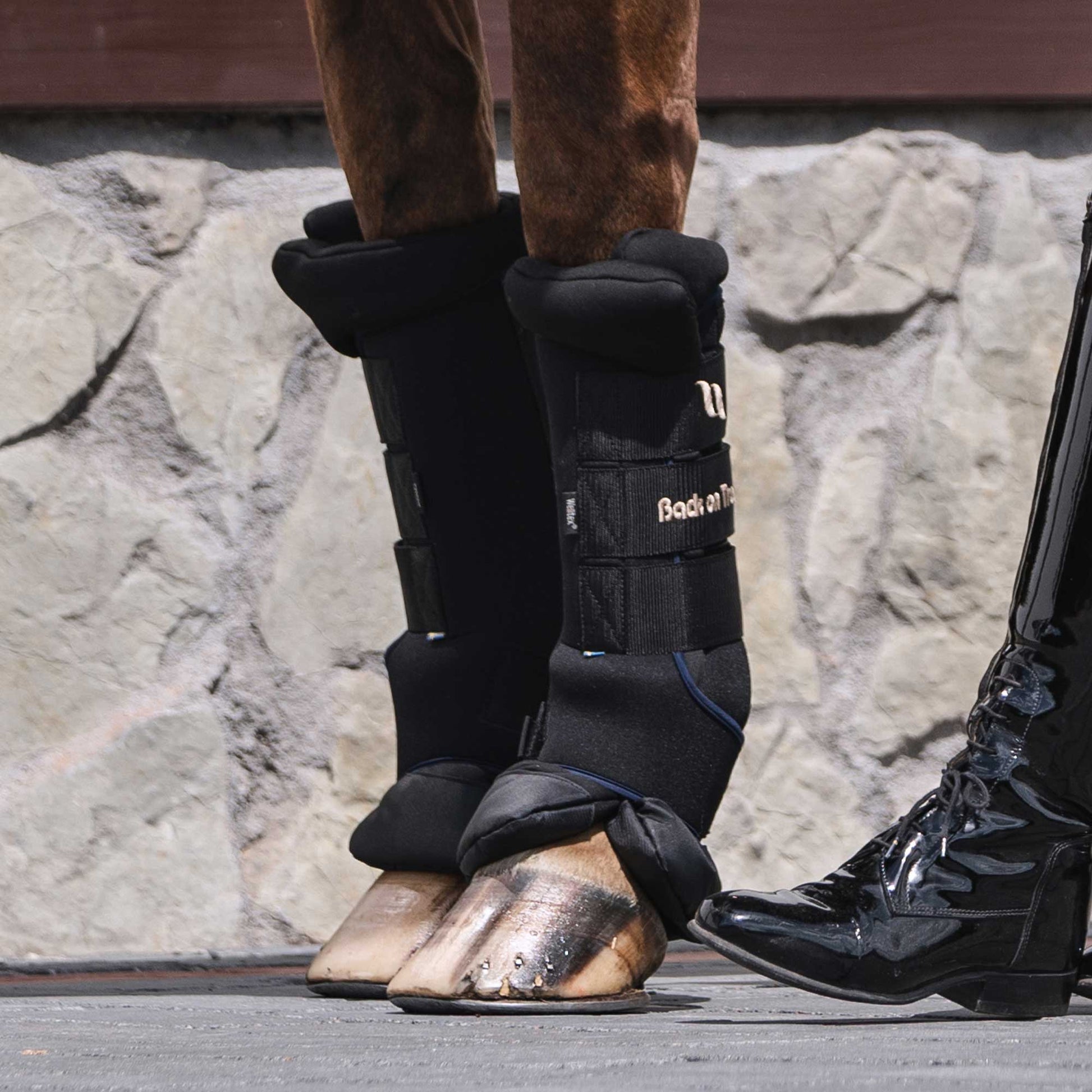 Royal Stallgamaschen Deluxe (Paar)