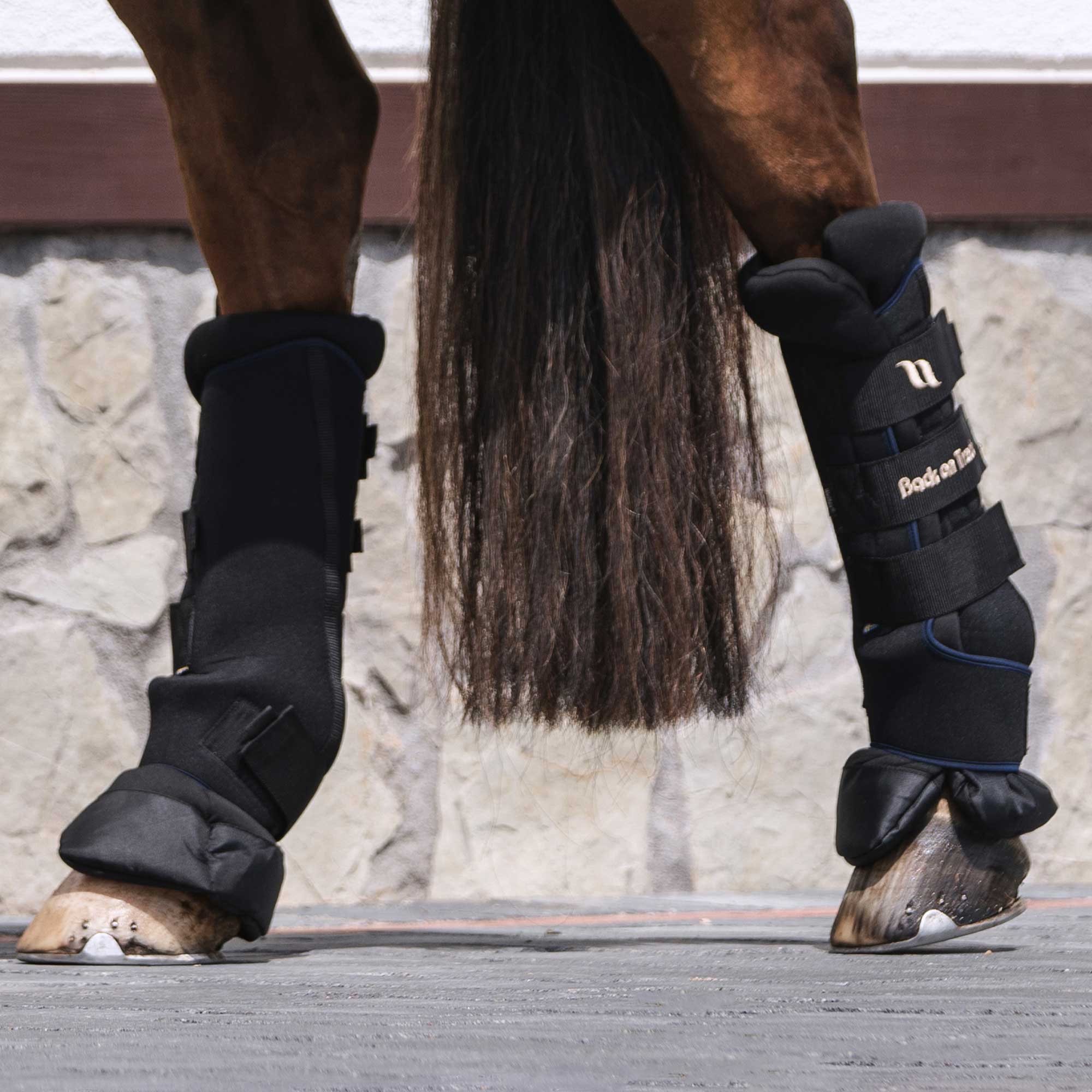 Royal Stallgamaschen Deluxe (Paar)