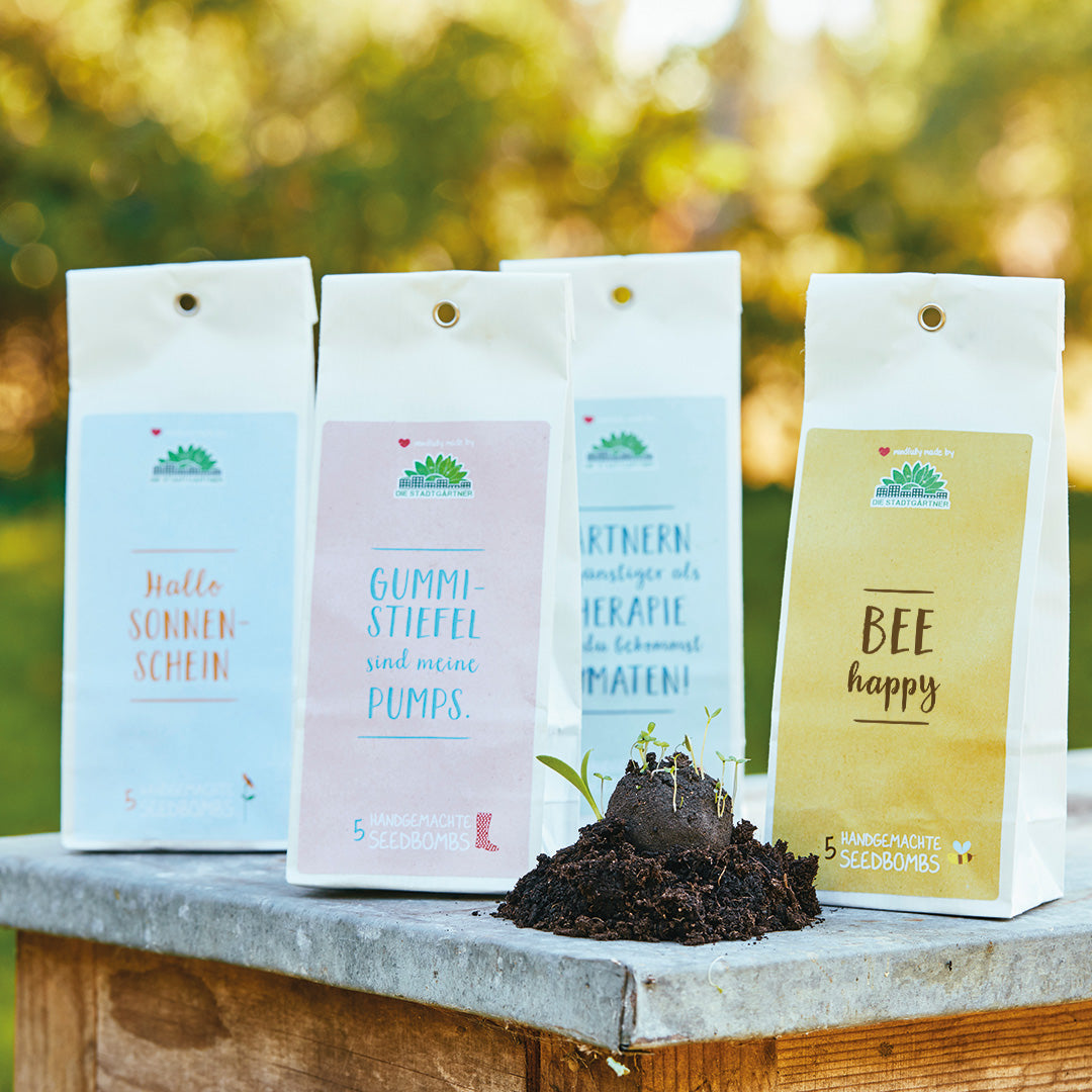 Set mit 4 Samenbomben mit Sprüchen