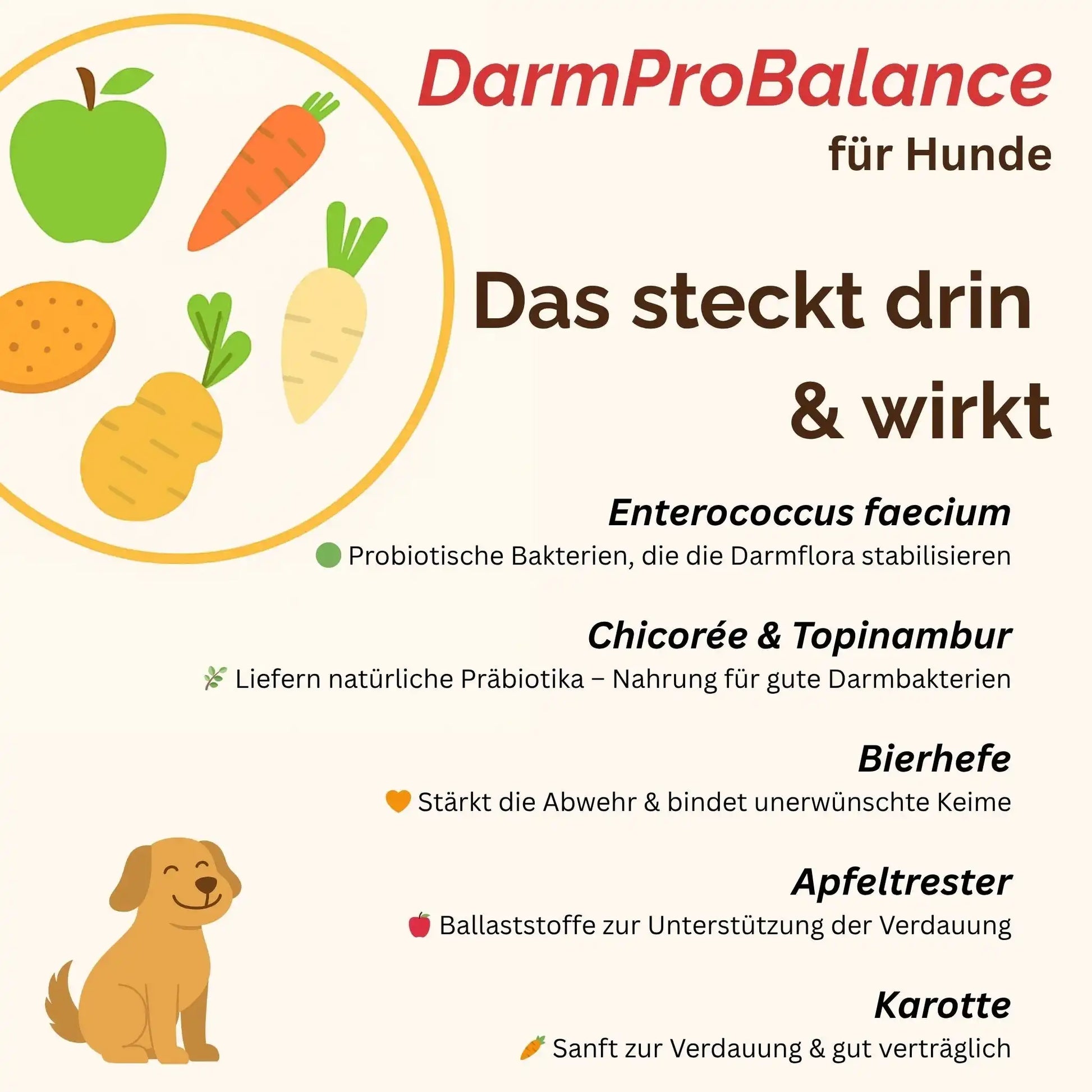 DarmProBalance Darmpulver Für Hund Gegen Durchfall Und Zum Aufbau Der Darmflora Natürliche Probiotische Unterstützung by s`Queed
