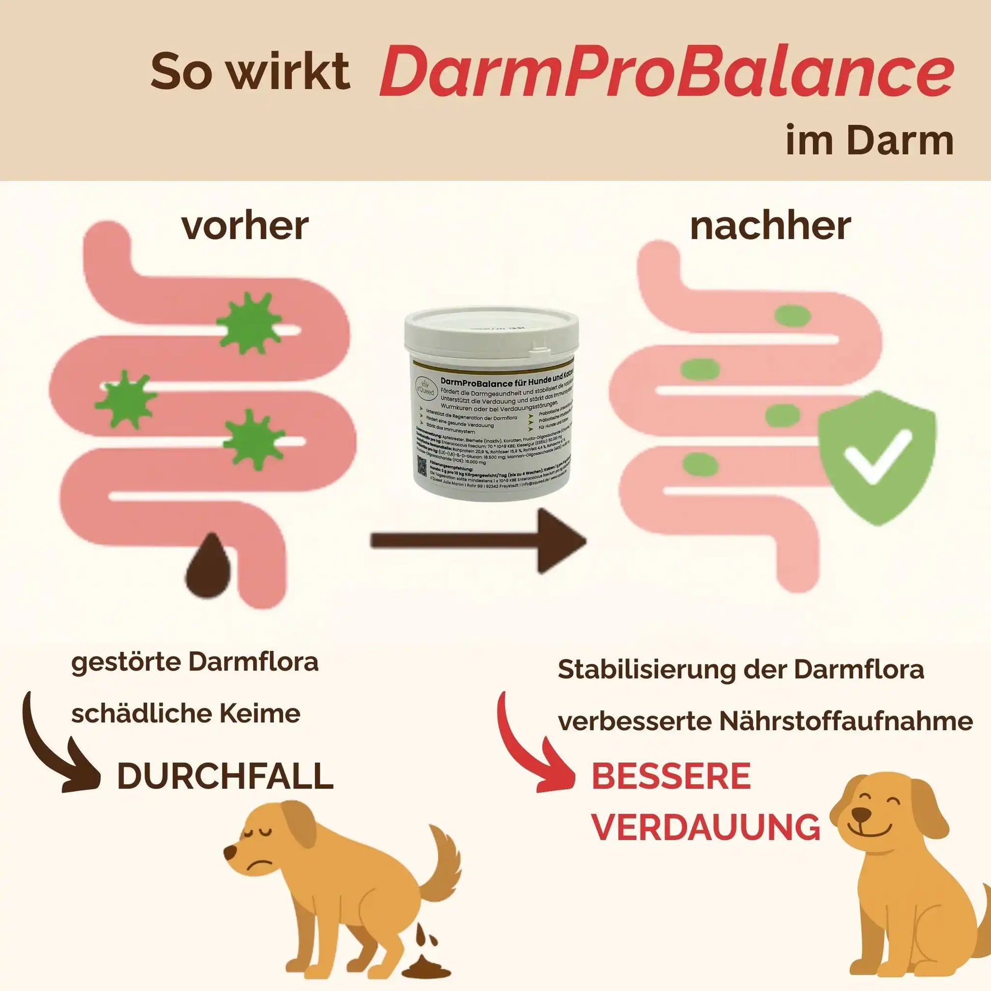 DarmProBalance Darmpulver Für Hund Gegen Durchfall Und Zum Aufbau Der Darmflora Natürliche Probiotische Unterstützung by s`Queed