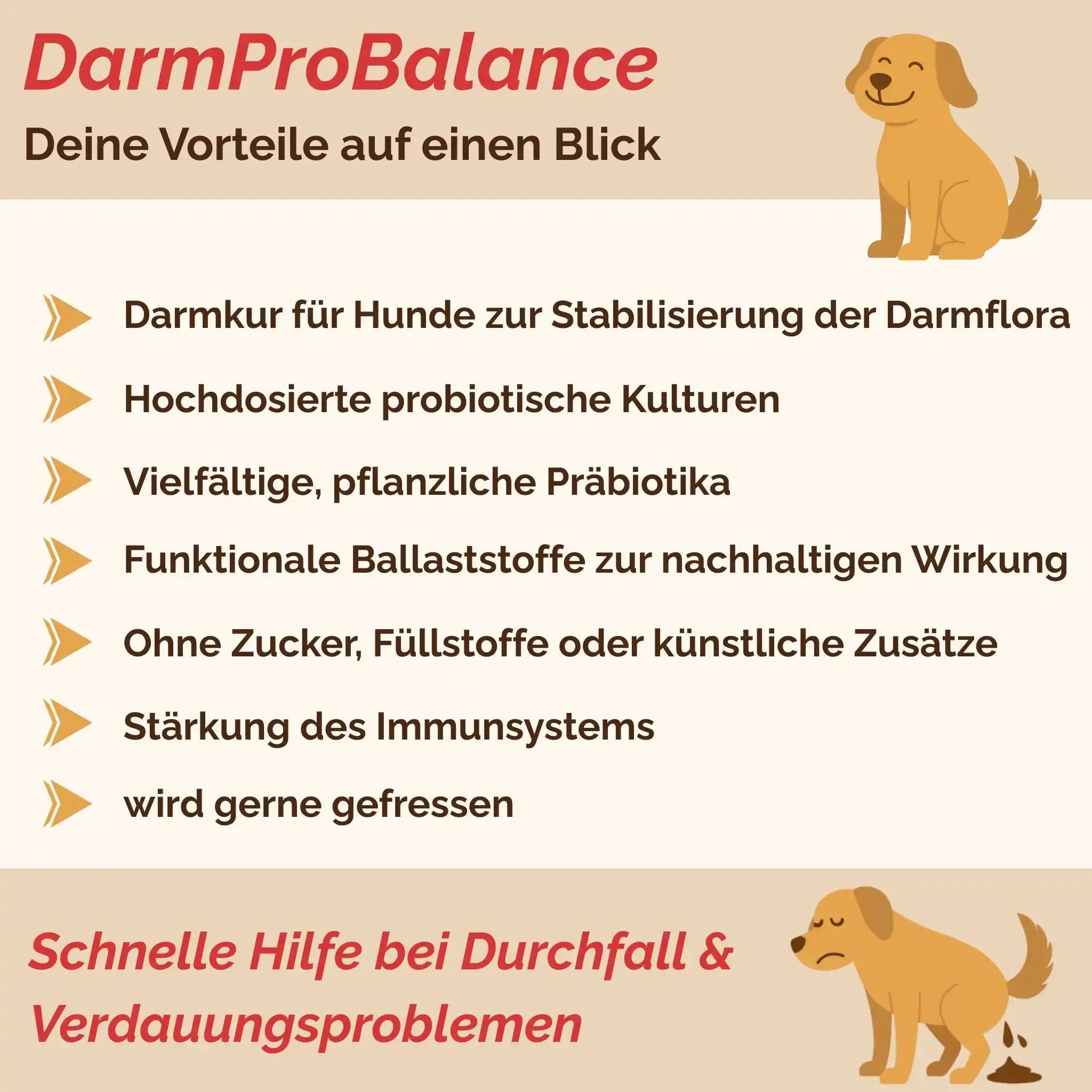 DarmProBalance Darmpulver Für Hund Gegen Durchfall Und Zum Aufbau Der Darmflora Natürliche Probiotische Unterstützung by s`Queed