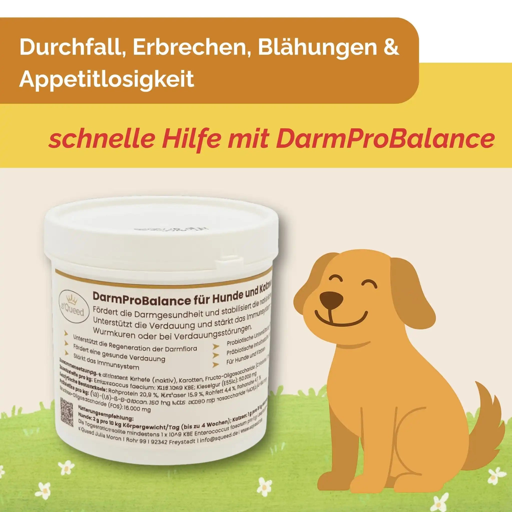 DarmProBalance Darmpulver Für Hund Gegen Durchfall Und Zum Aufbau Der Darmflora Natürliche Probiotische Unterstützung by s`Queed