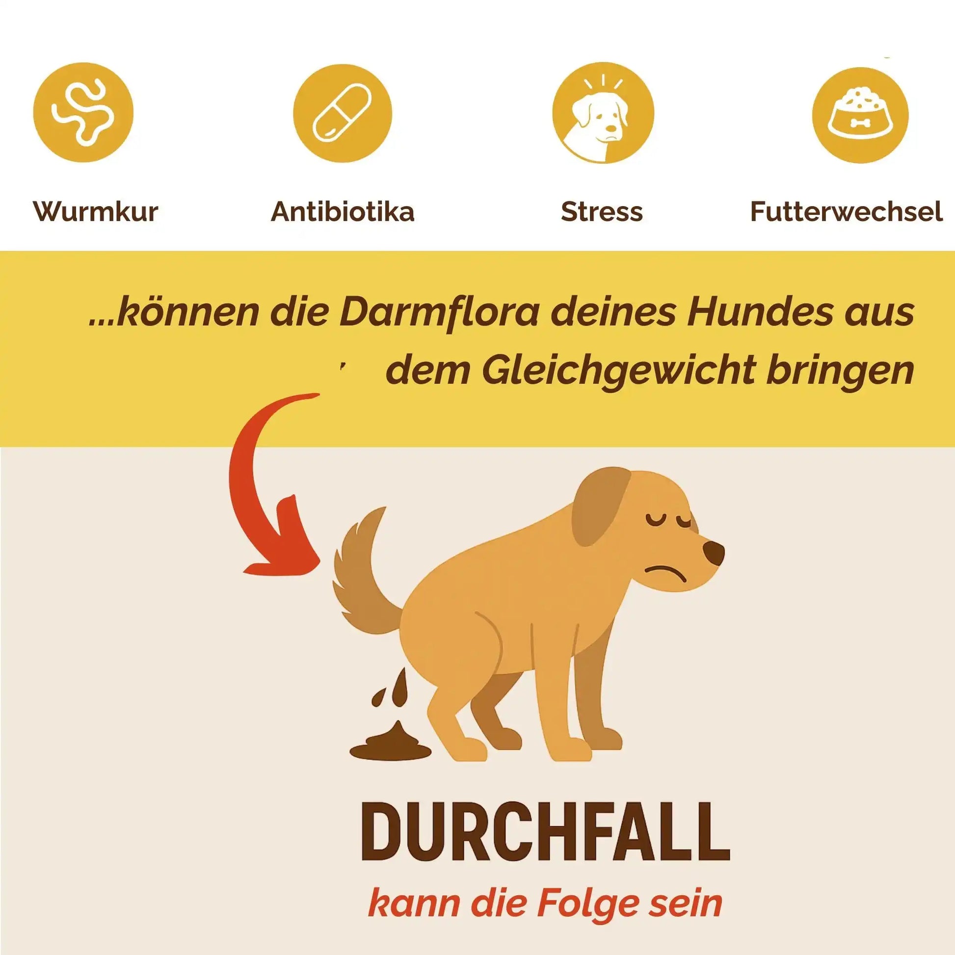 DarmProBalance Darmpulver Für Hund Gegen Durchfall Und Zum Aufbau Der Darmflora Natürliche Probiotische Unterstützung by s`Queed