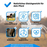 AnoKath® Liquid – Darmsanierung beim Pferd im Alltag unterstützend begleiten