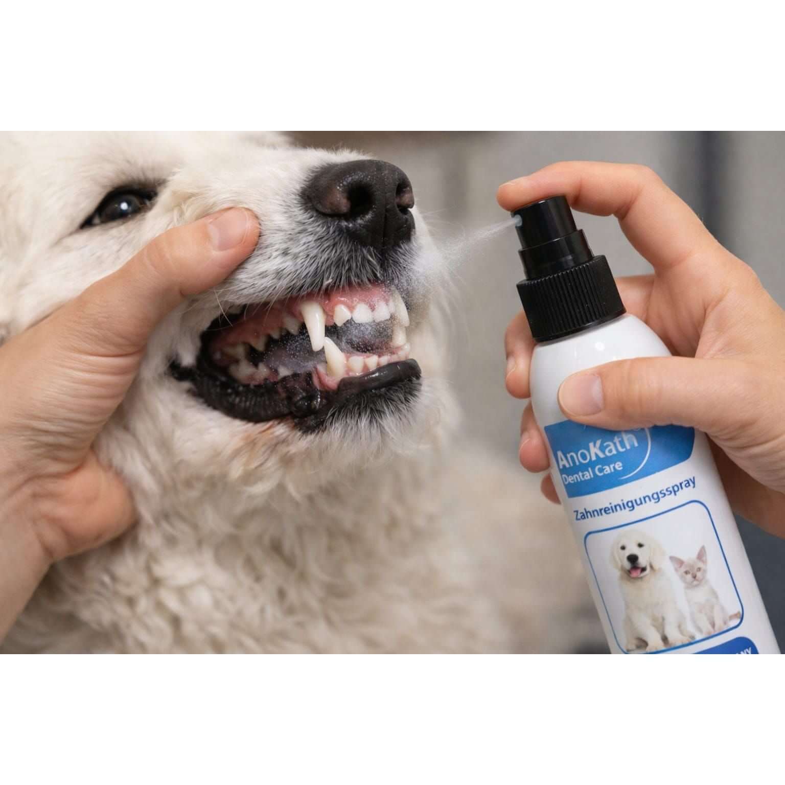 AnoKath® Dental Spray – Hunde Zahnpflege ohne Zähneputzen, frischer Atem