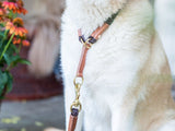 SABRO Hundehalsband OUTDOOR Rundzug