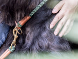 SABRO Hundehalsband OUTDOOR Rundzug
