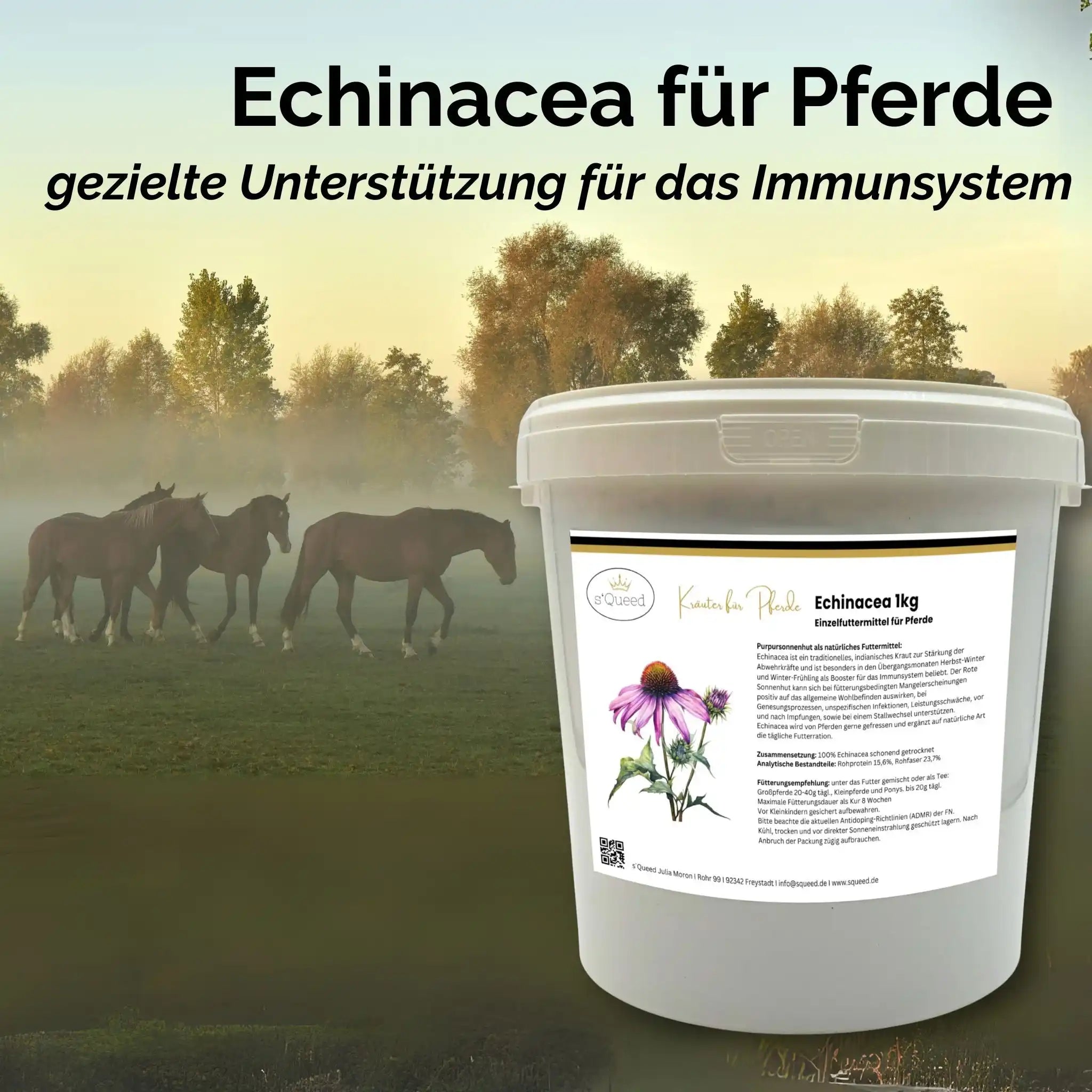 Echinacea Pferd Immunstärkung Zusatzfutter Für Das Immunsystem Und Abwehrkräfte In Belastungsphasen by s`Queed