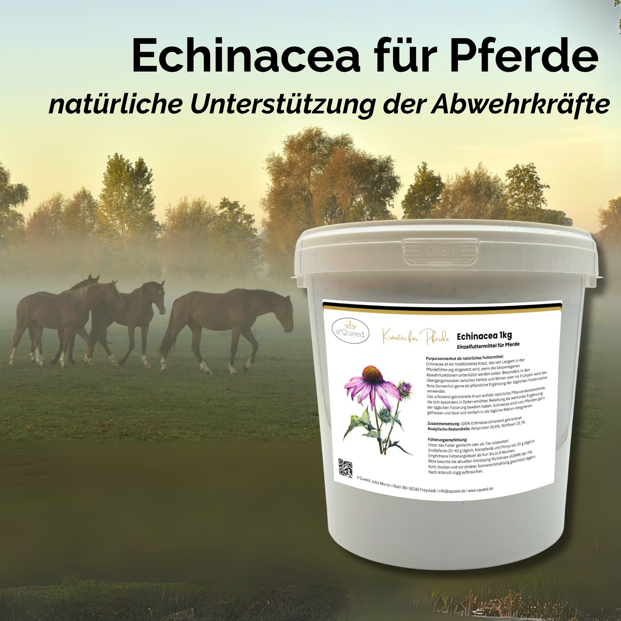 s`Queed Echinacea Pferde Immunstärkung - Reines Echinacea - 1kg - Stärkt Abwehr