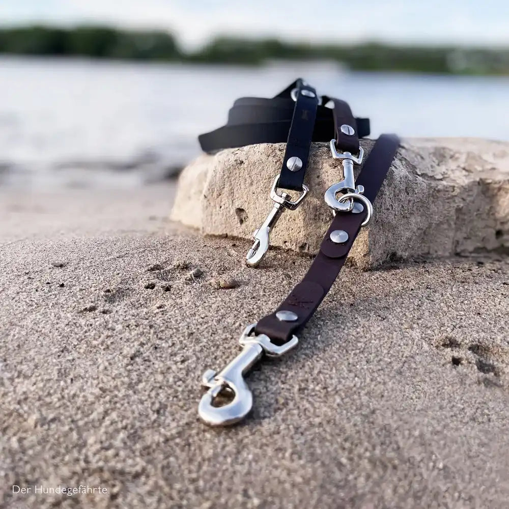 Hundeleine RATZFATZ aus BioThane®/POP - Band by Der Hundegefährte