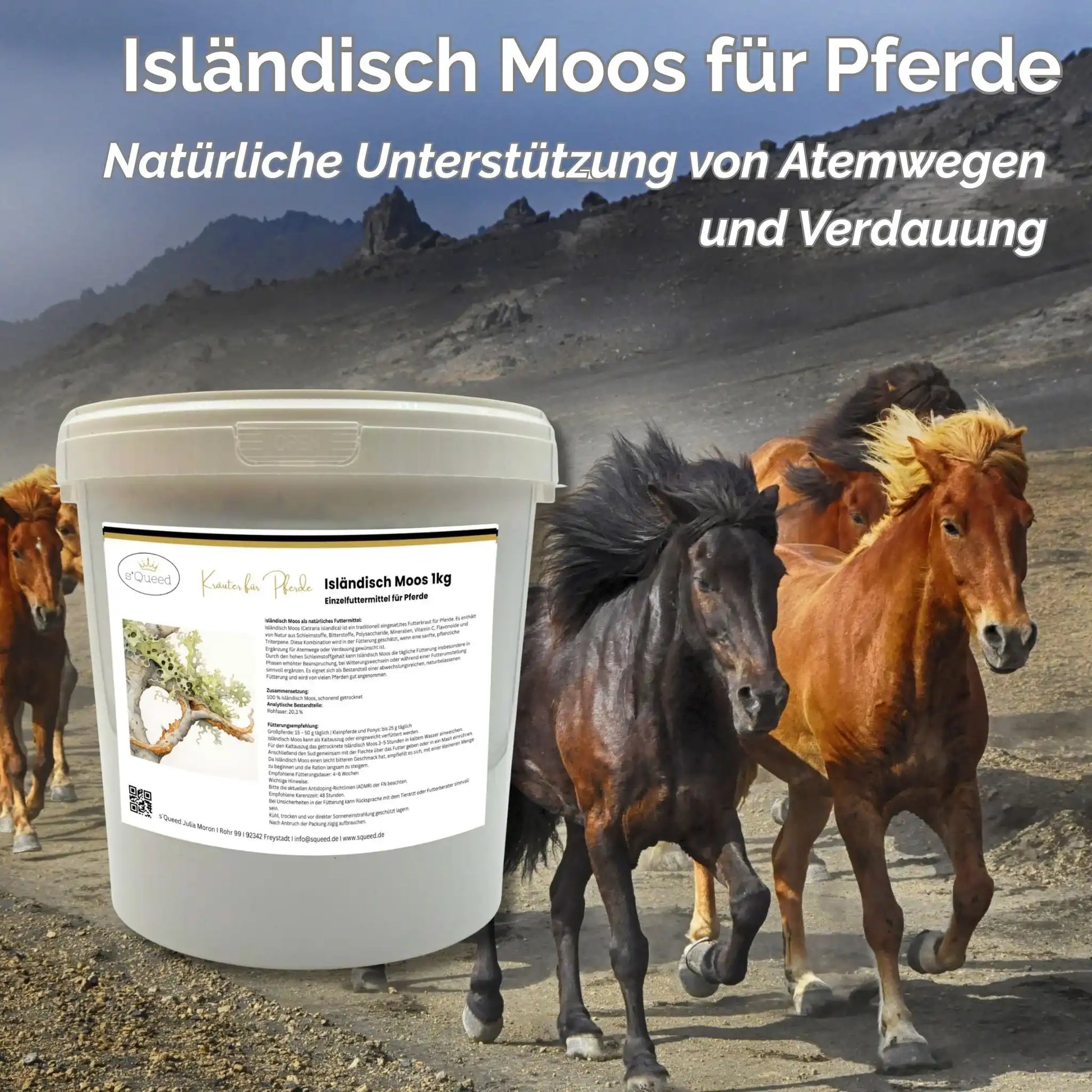 Isländisch Moos Für Pferde 1 Kg Pflanzliche Ergänzung Für Atemwege Und Verdauung Bei Pferden by s`Queed