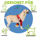 Liegeschwielen Bandage für Hunde by Nature Pet