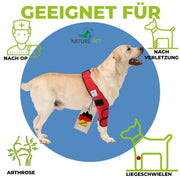 Liegeschwielen Bandage für Hunde by Nature Pet