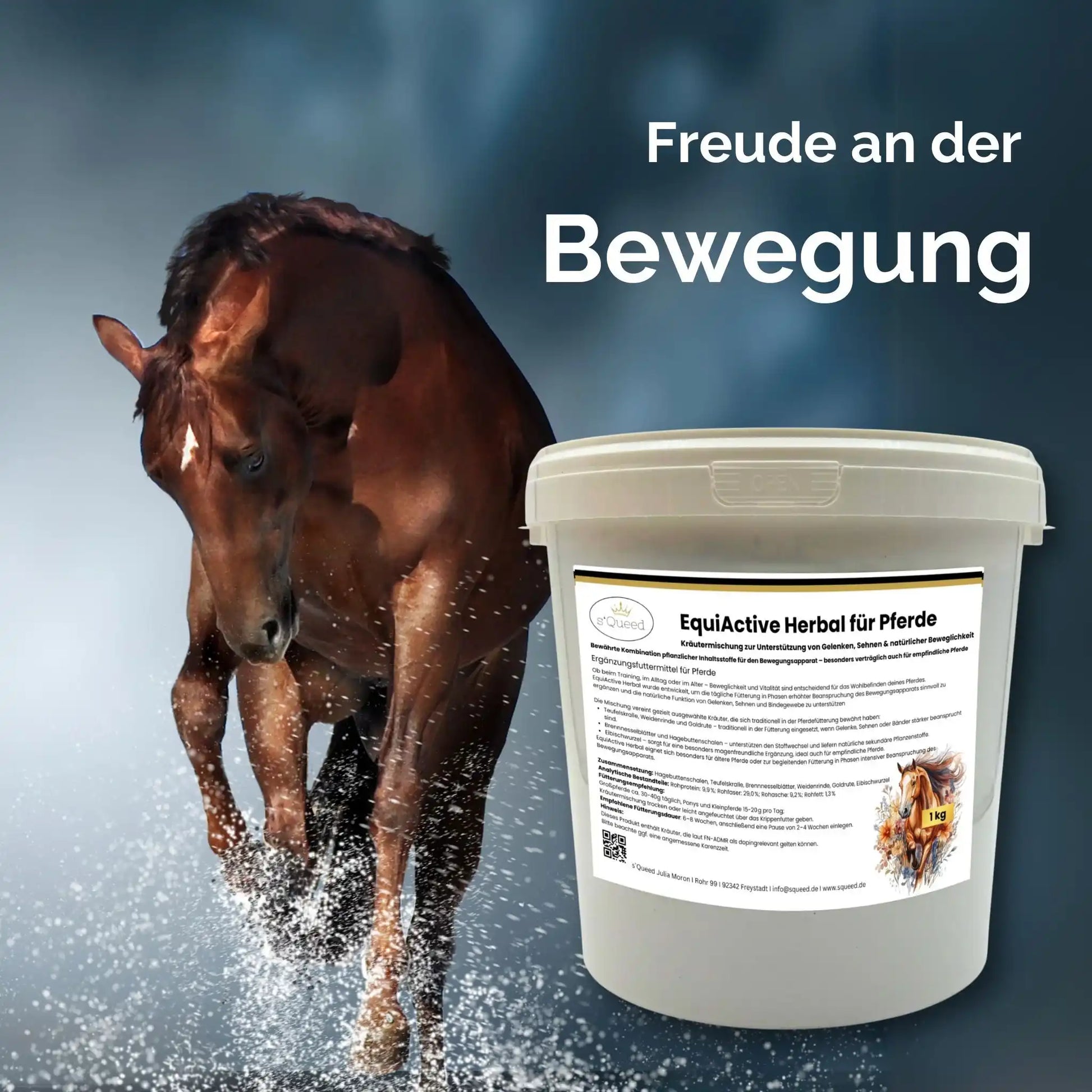 EquiActive Herbal 1 Kg Kräutermischung Zur Unterstützung Von Beweglichkeit Und Vitalität Beim Pferd by s`Queed
