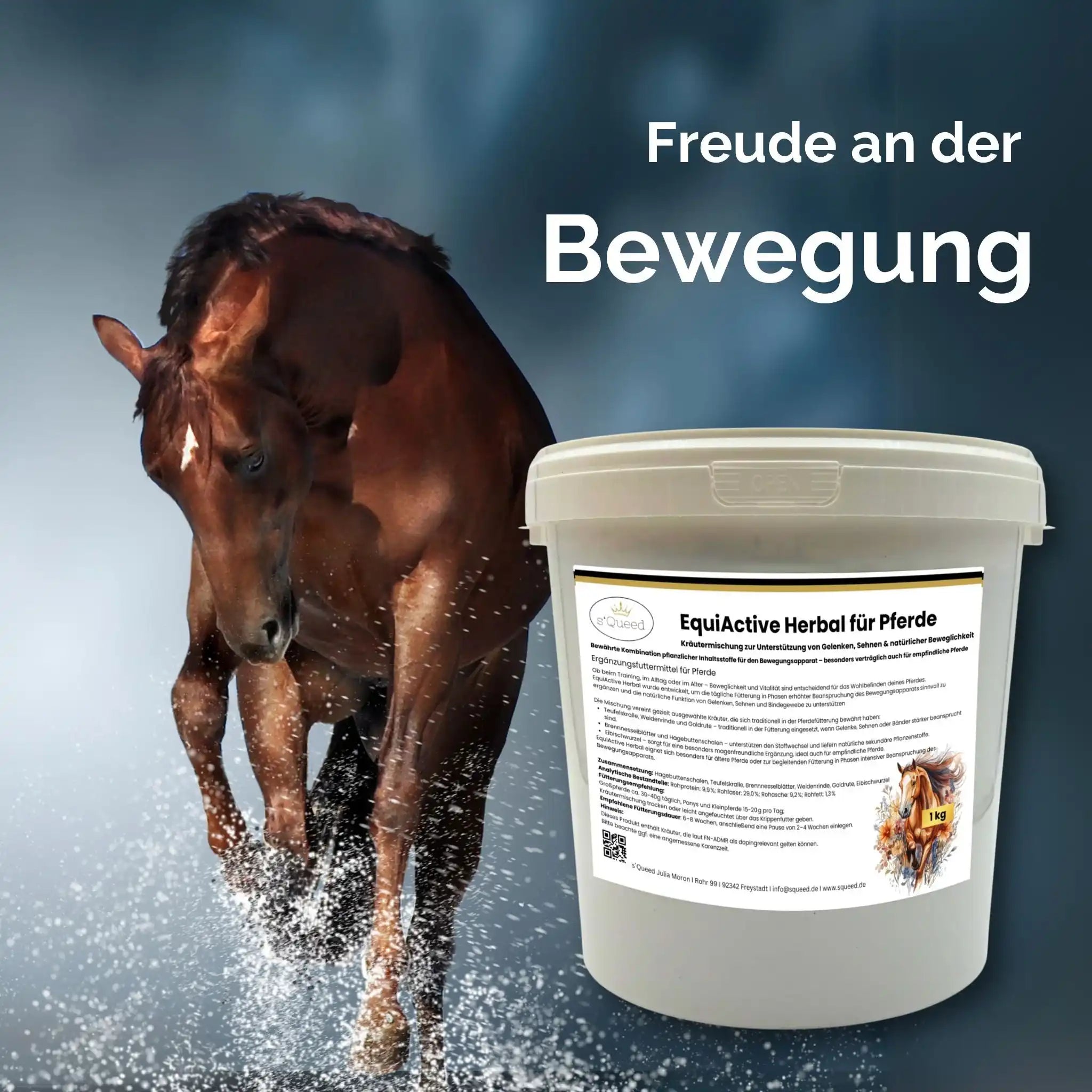 EquiActive Herbal 1 Kg Kräutermischung Zur Unterstützung Von Beweglichkeit Und Vitalität Beim Pferd by s`Queed