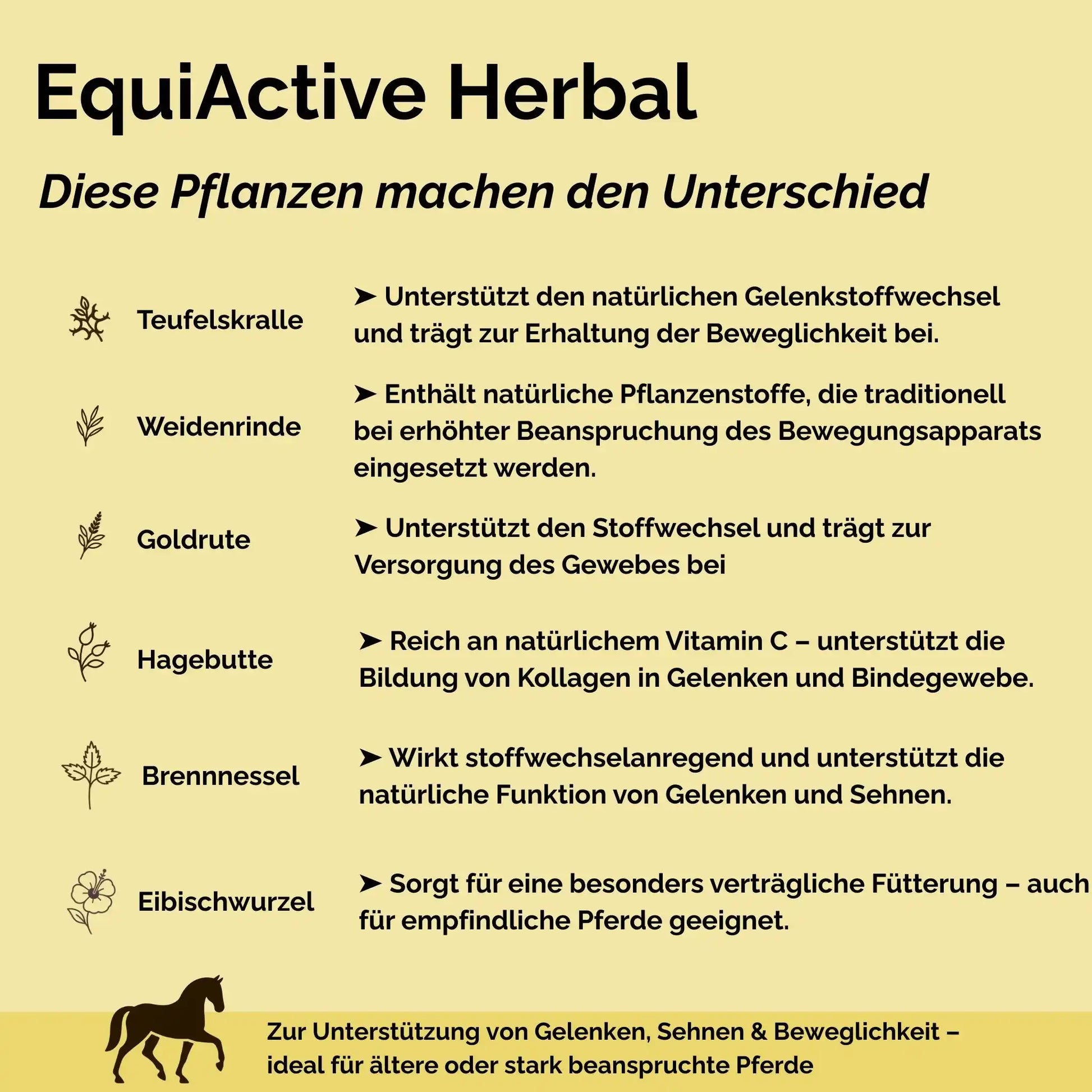 EquiActive Herbal 1 Kg Kräutermischung Zur Unterstützung Von Beweglichkeit Und Vitalität Beim Pferd by s`Queed