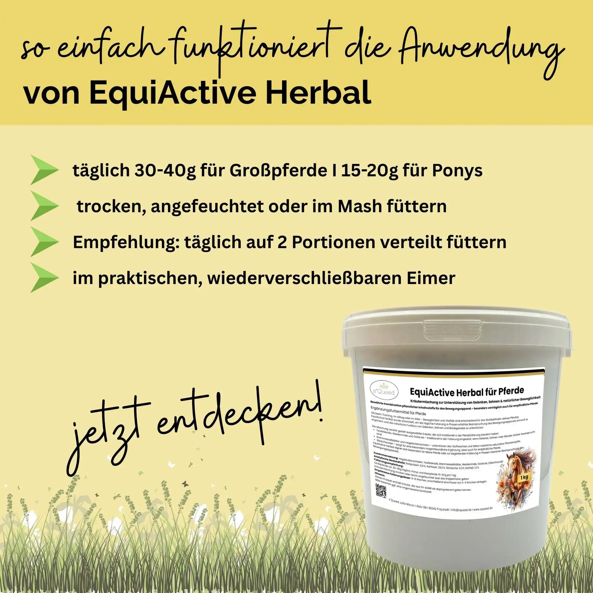 EquiActive Herbal 1 Kg Kräutermischung Zur Unterstützung Von Beweglichkeit Und Vitalität Beim Pferd by s`Queed