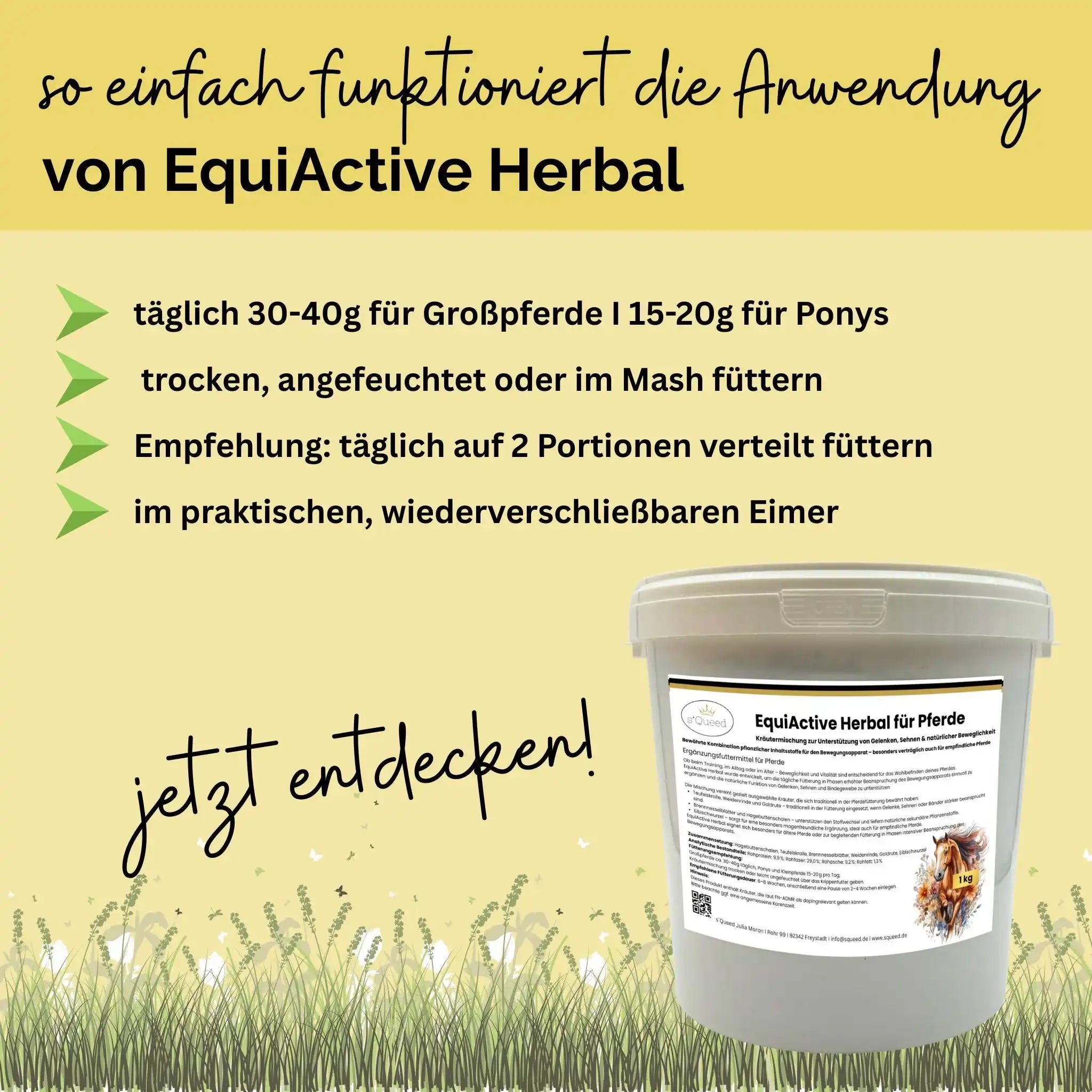 EquiActive Herbal 1 Kg Kräutermischung Zur Unterstützung Von Beweglichkeit Und Vitalität Beim Pferd by s`Queed