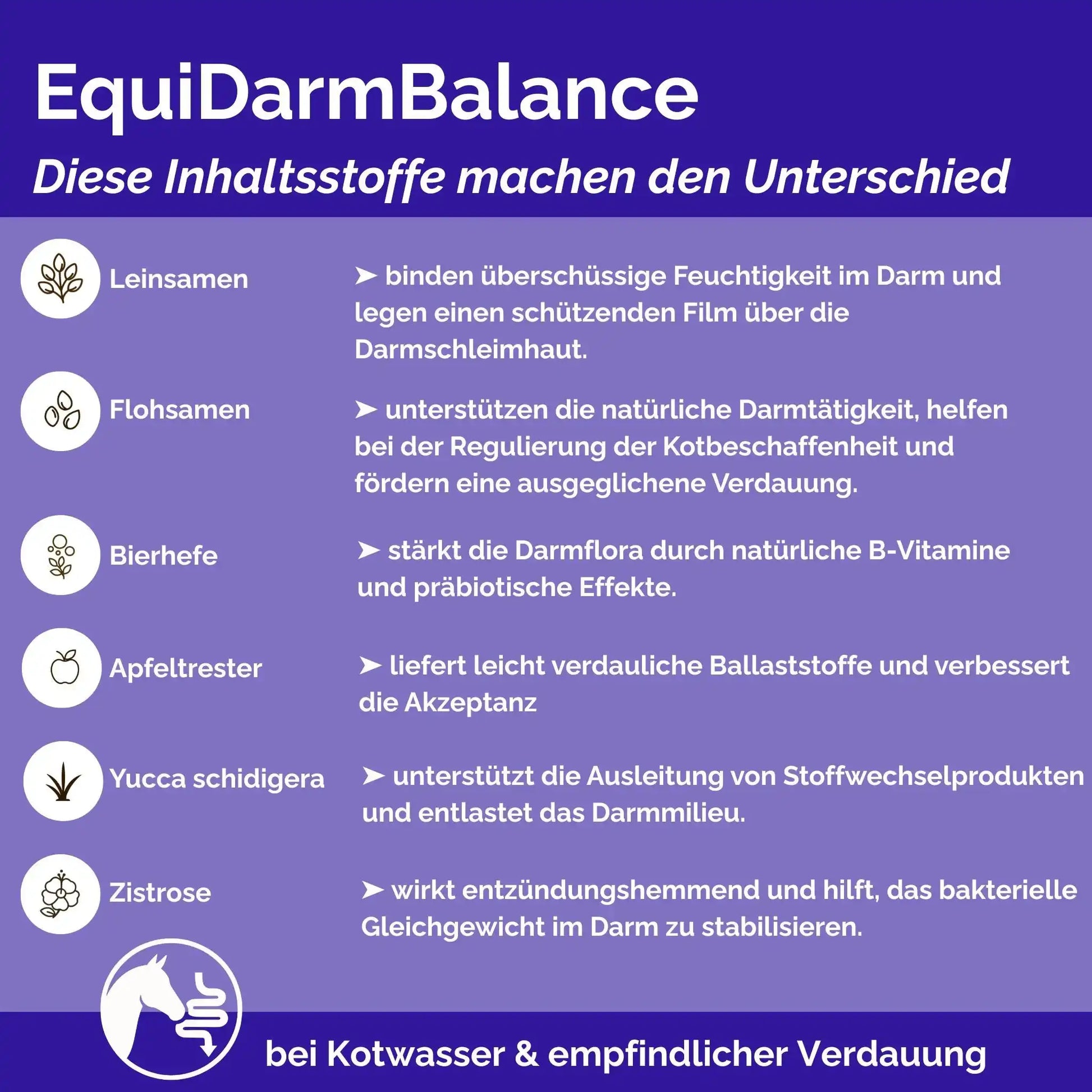 EquiDarmBalance Natürliches Zusatzfutter Für Pferde Bei Kotwasser Und Durchfall Mit Pflanzlichem Wirkansatz by s`Queed