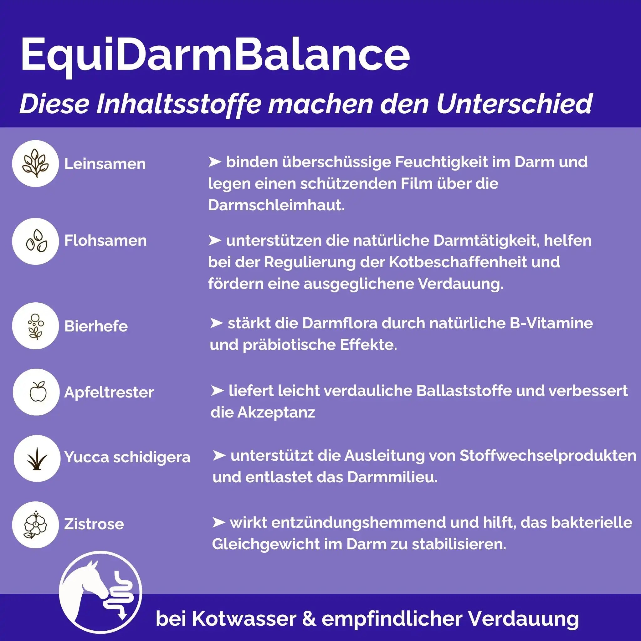 EquiDarmBalance Natürliches Zusatzfutter Für Pferde Bei Kotwasser Und Durchfall Mit Pflanzlichem Wirkansatz by s`Queed