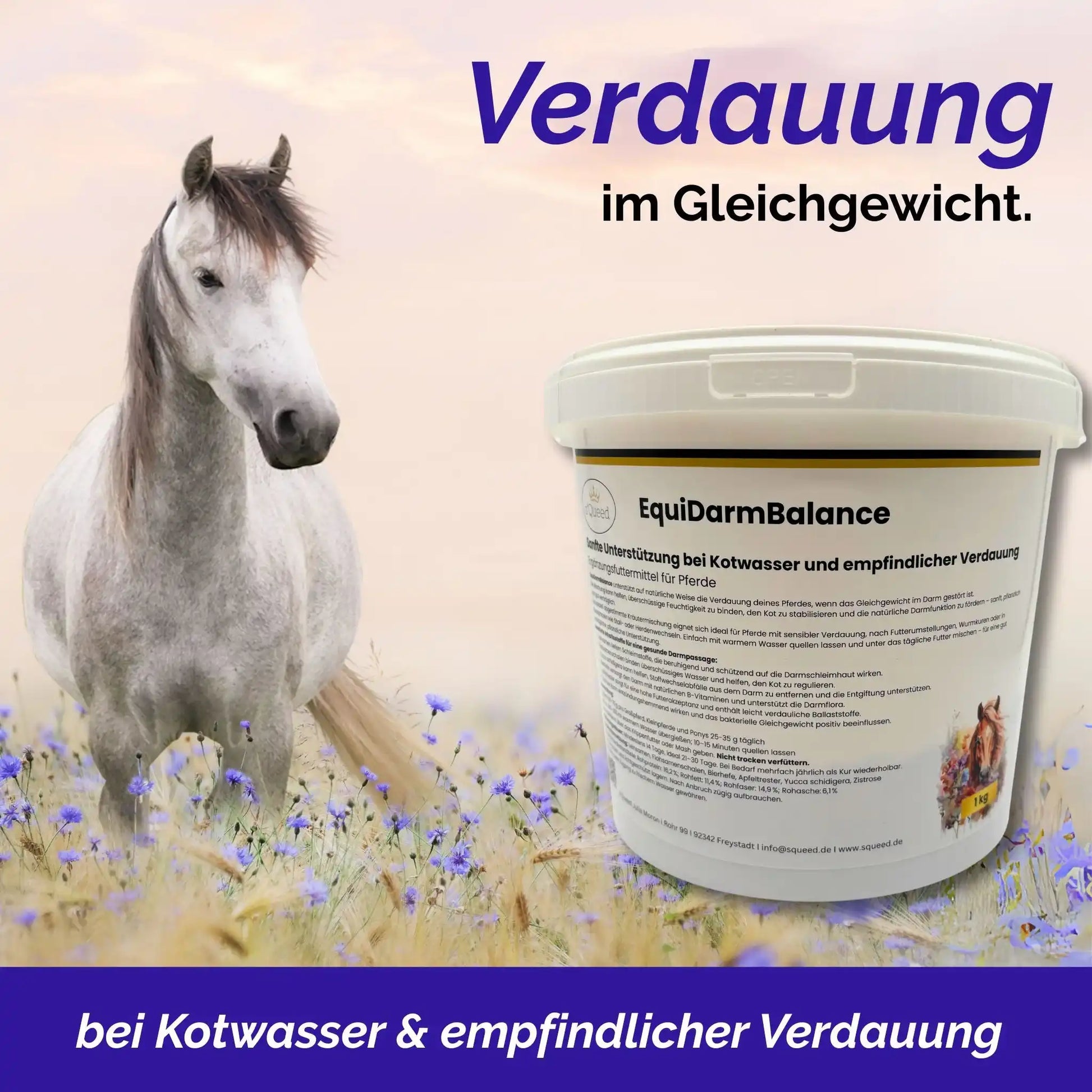 EquiDarmBalance Natürliches Zusatzfutter Für Pferde Bei Kotwasser Und Durchfall Mit Pflanzlichem Wirkansatz by s`Queed