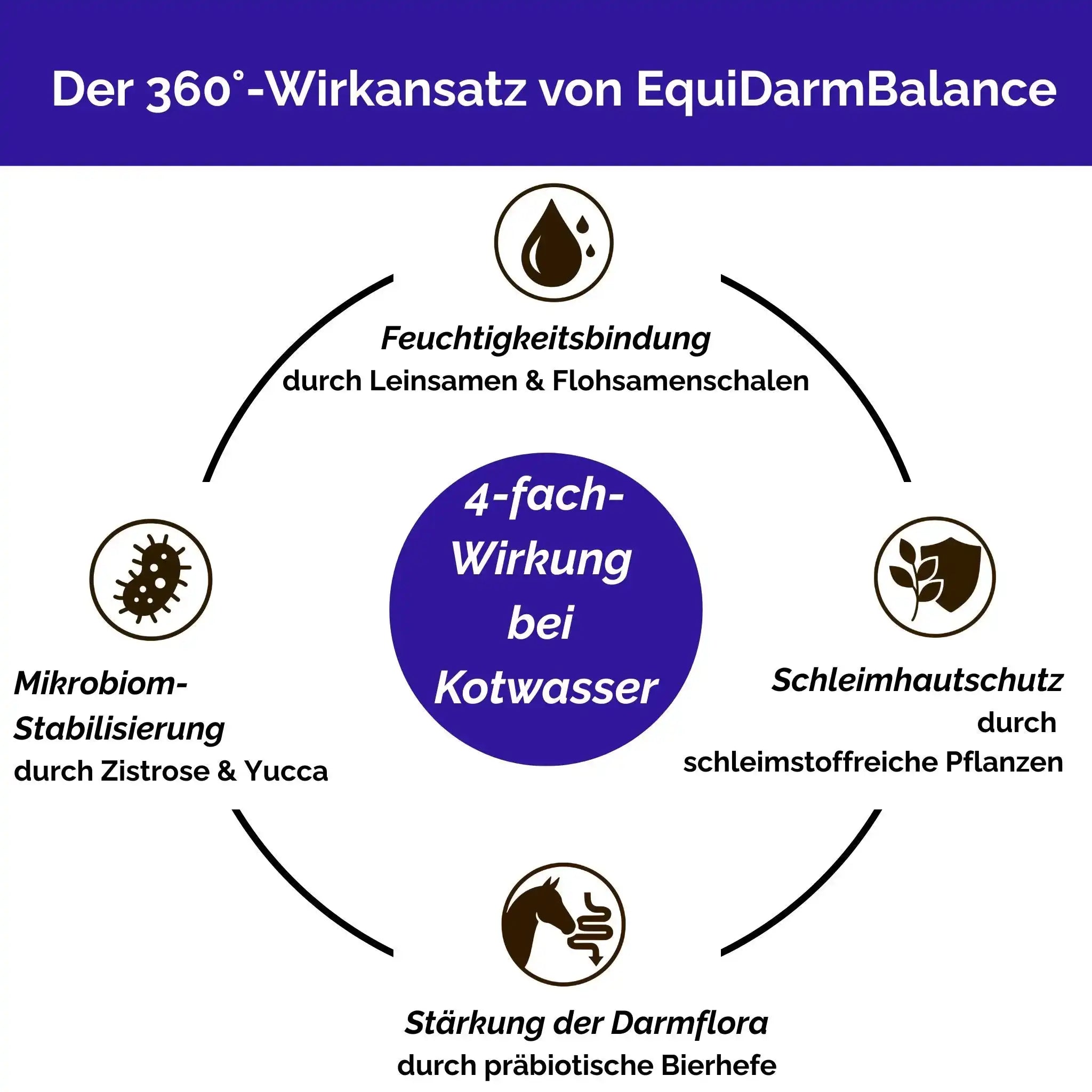 EquiDarmBalance Natürliches Zusatzfutter Für Pferde Bei Kotwasser Und Durchfall Mit Pflanzlichem Wirkansatz by s`Queed