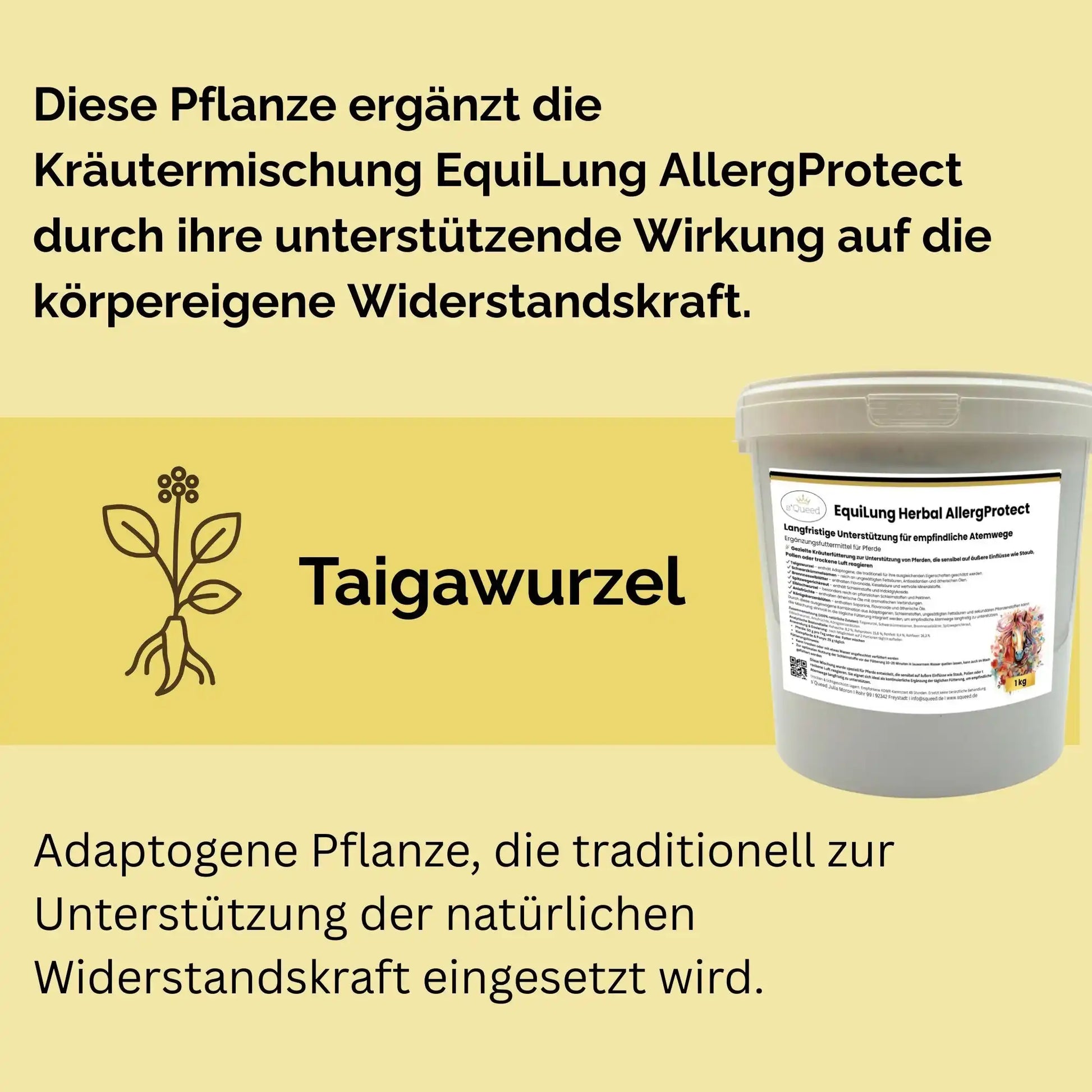 EquiLung Herbal AllergProtect Kräutermischung Für Pferde Zur Langzeitunterstützung Empfindlicher Atemwege Staub Pollen by s`Queed