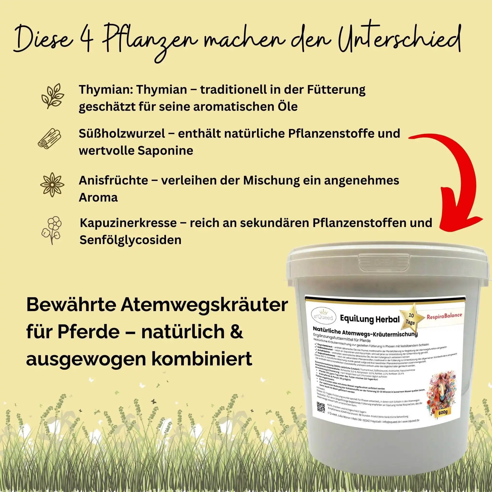 EquiLung Herbal RespiraBalance Kräutermischung Für Pferde In Phasen Schleimbildung Oder Bei Beanspruchten Atemwegen by s`Queed