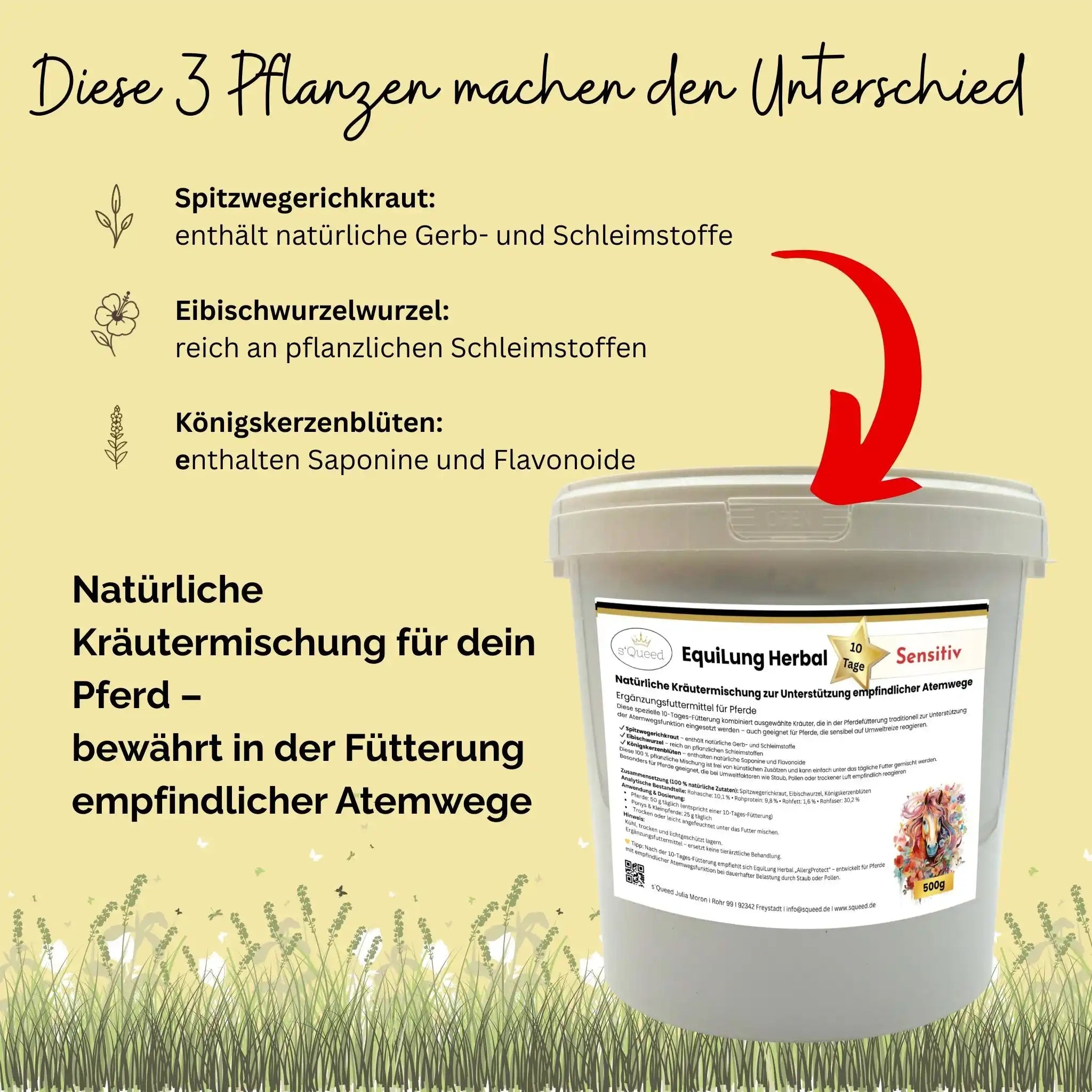EquiLung Herbal Sensitiv Hustenkräuter Für Pferde Zur Unterstützung Empfindlicher Atemwege 10 Tage Fütterung by s`Queed