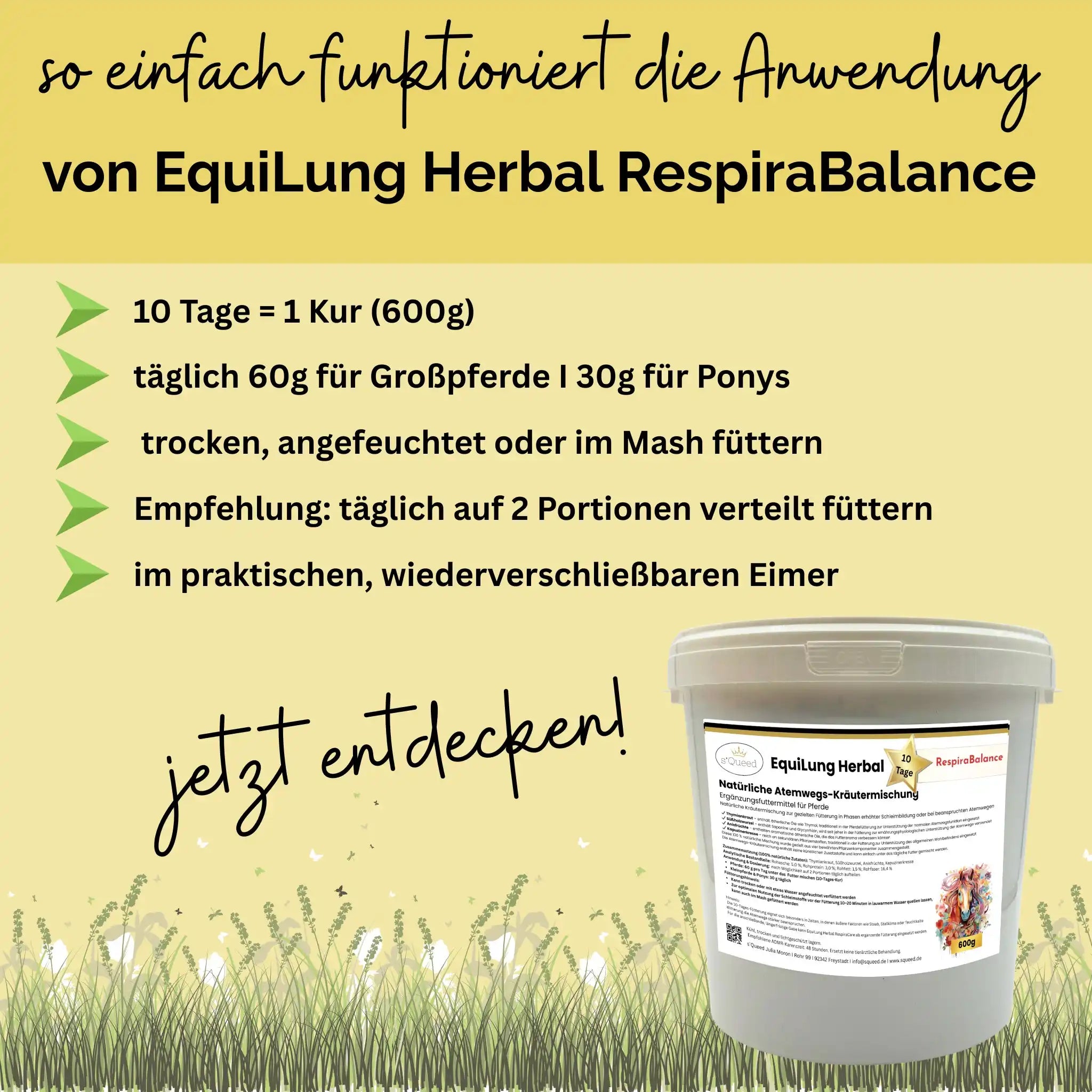 EquiLung Herbal RespiraBalance Kräutermischung Für Pferde In Phasen Schleimbildung Oder Bei Beanspruchten Atemwegen by s`Queed