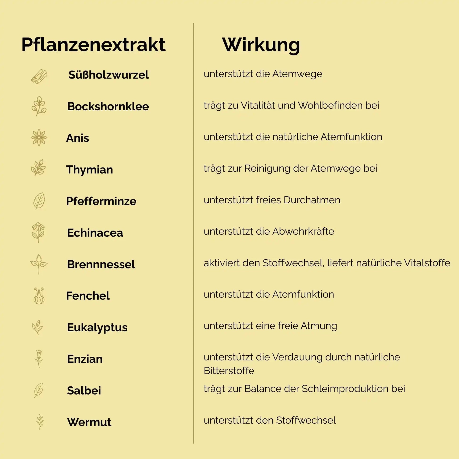 EquiLung Herbal Liquid Mit Natürlichen Pflanzenextrakten Ätherischen Ölen Zur Unterstützung Der Atemwege Bei Pferden by s`Queed