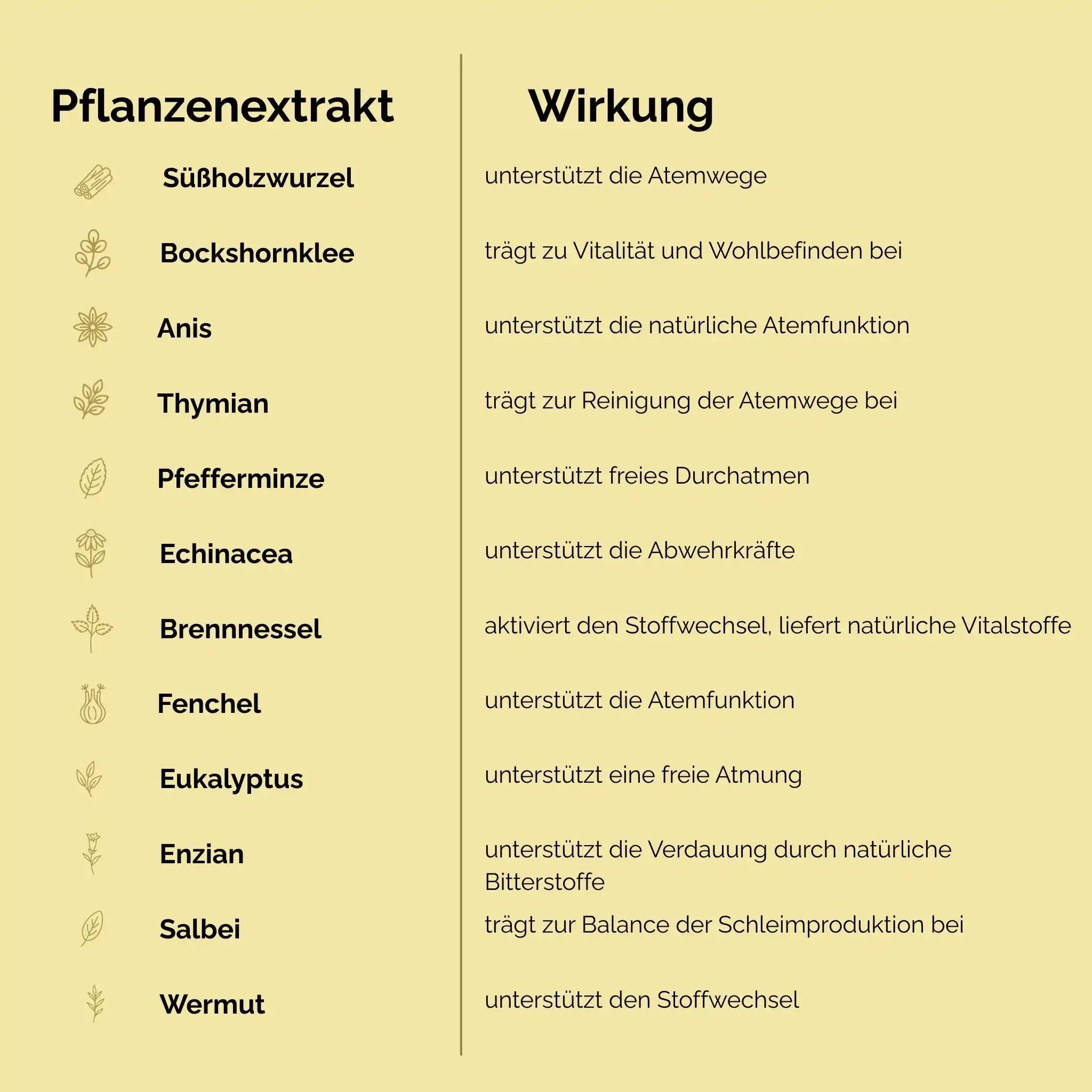 EquiLung Herbal Liquid Mit Natürlichen Pflanzenextrakten Ätherischen Ölen Zur Unterstützung Der Atemwege Bei Pferden by s`Queed