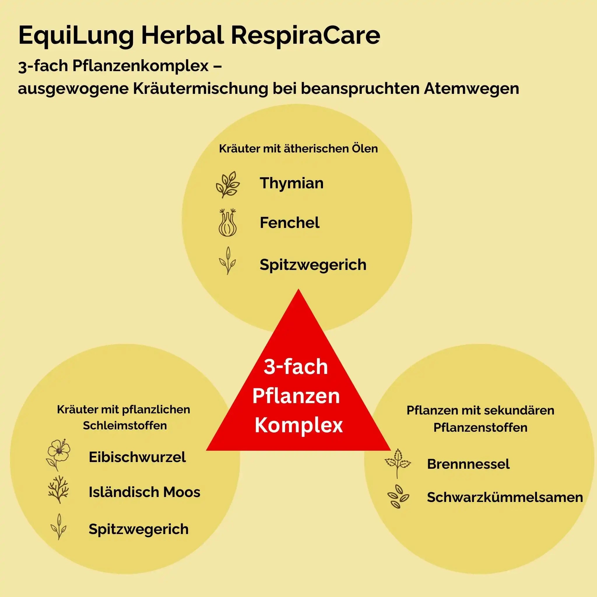 EquiLung Herbal RespiraCare Kräutermischung Für Pferde Zur Langzeitfütterung Bei Beanspruchten Atemwegen by s`Queed