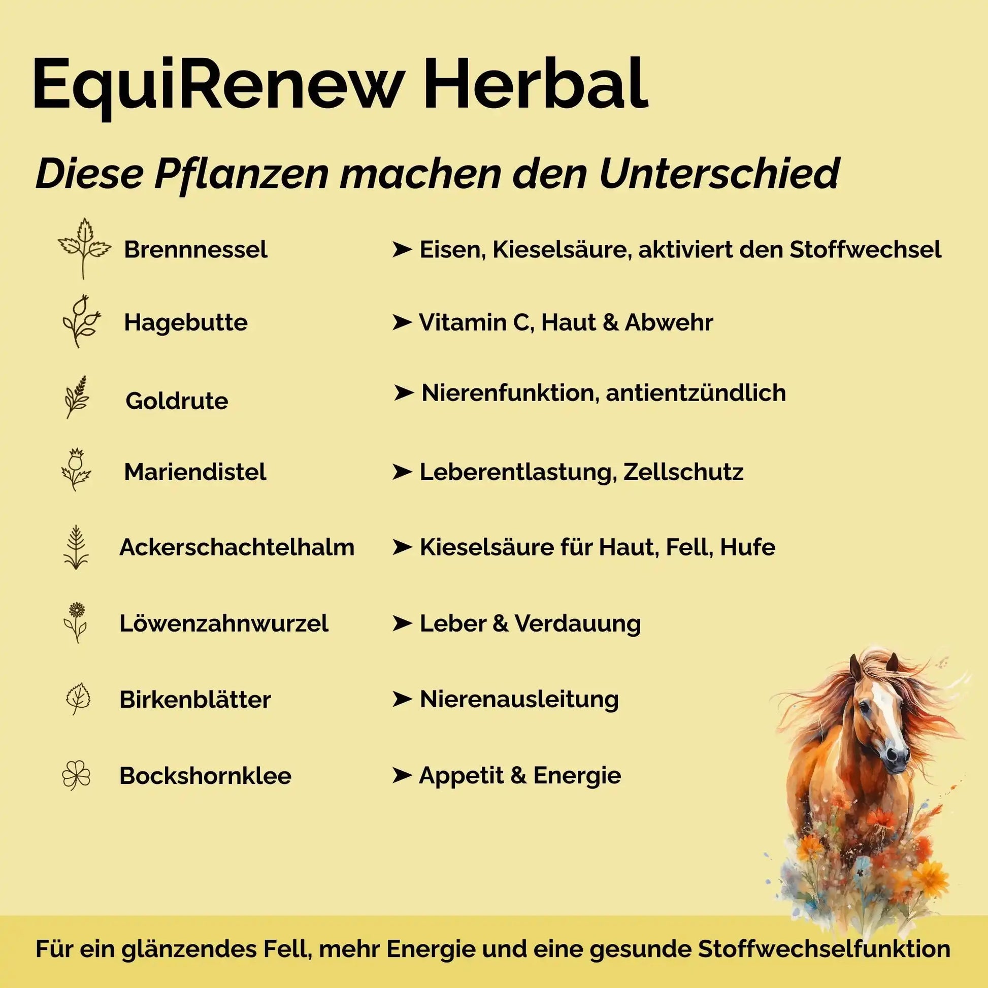 EquiRenew Herbal Fellwechsel Beim Pferd Unterstützen Mit Stoffwechsel Kräutern Für Leber Und Nieren Entgiftung Pferd by s`Queed