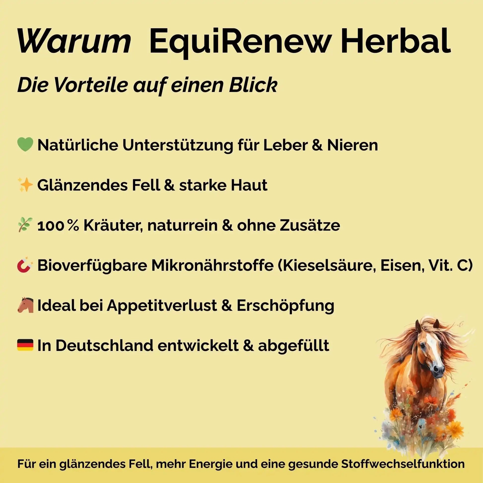 EquiRenew Herbal Fellwechsel Beim Pferd Unterstützen Mit Stoffwechsel Kräutern Für Leber Und Nieren Entgiftung Pferd by s`Queed